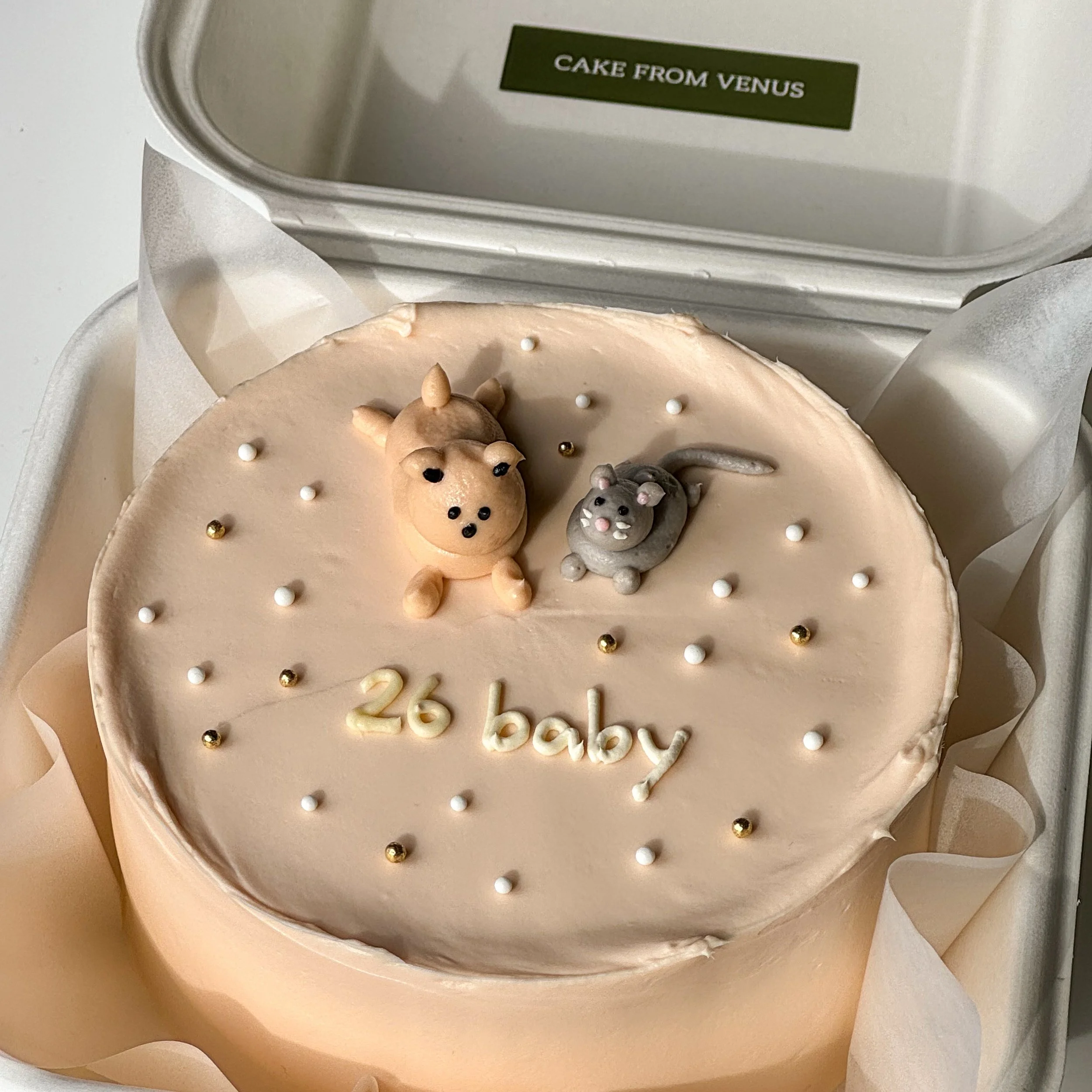 Furry Friend Bento Cake