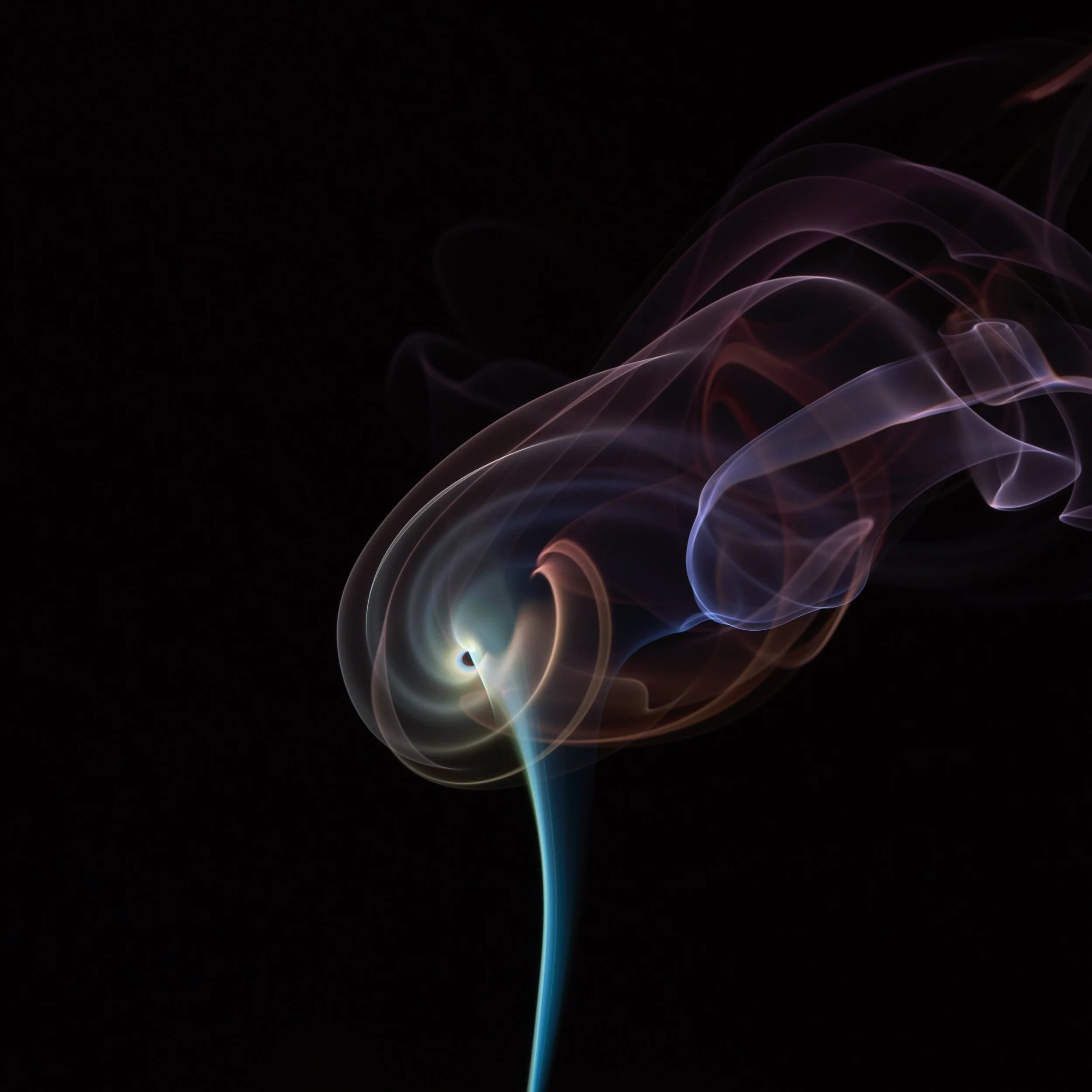Colorful swirling smoke against a black background, resembling a delicate abstract pattern.