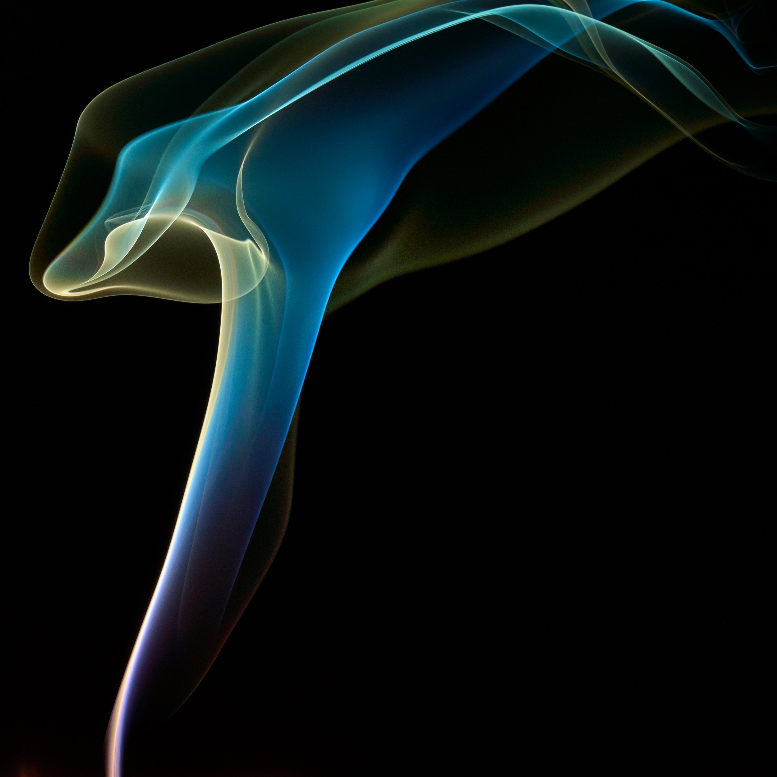 Colorful wisps of smoke swirling against a black background.