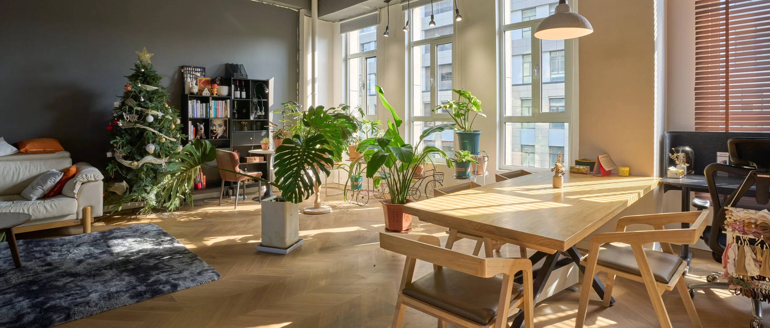 Bright and cozy apartment with large windows, green potted plants, a Christmas tree, a black bookshelf with decorations, wooden dining table with chairs, living room area with rug, and sunlight streaming through window blinds.