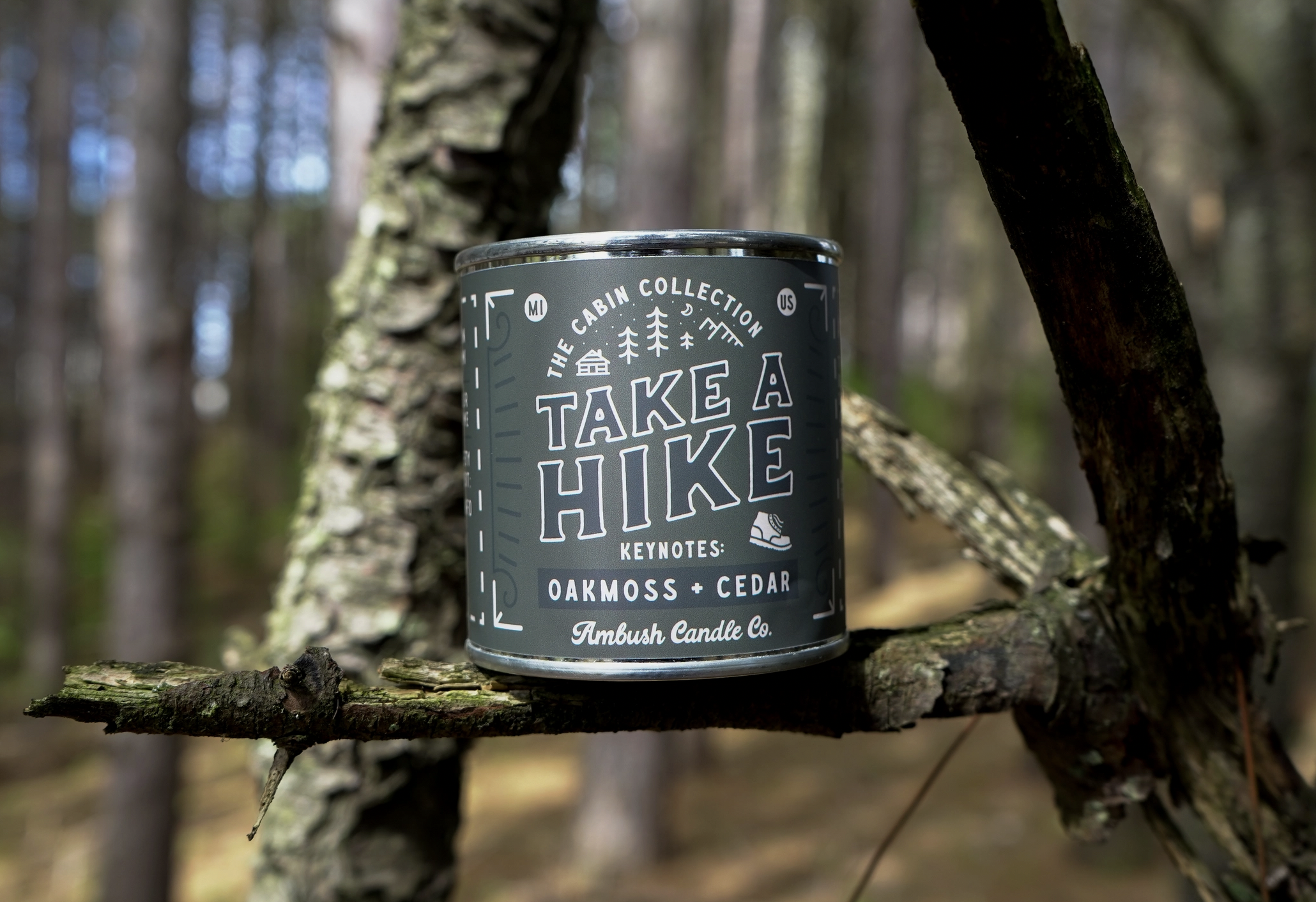 Take A Hike | Oakmoss + Cedar 8oz Soy Candle
