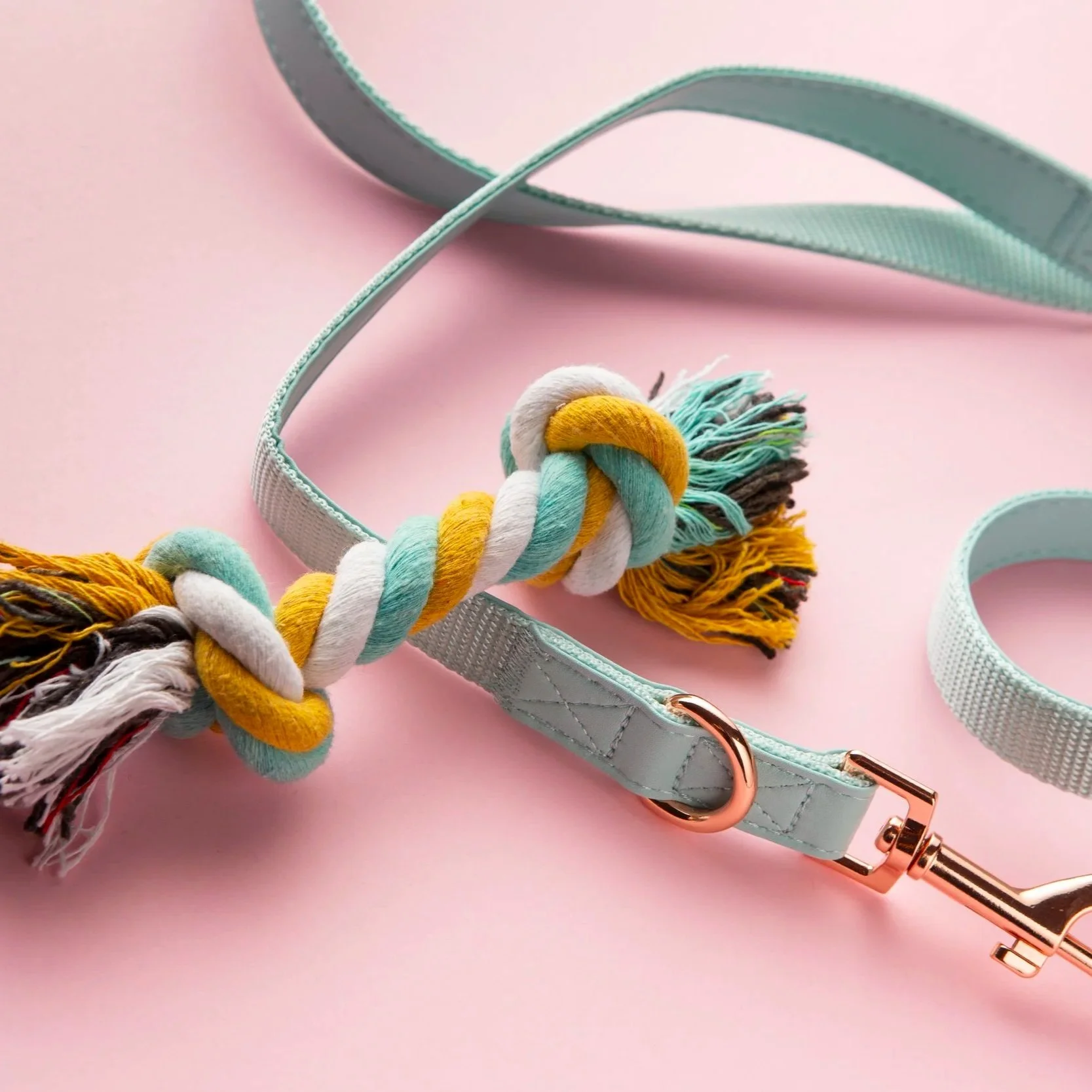 Halsbånd og leke til dyr