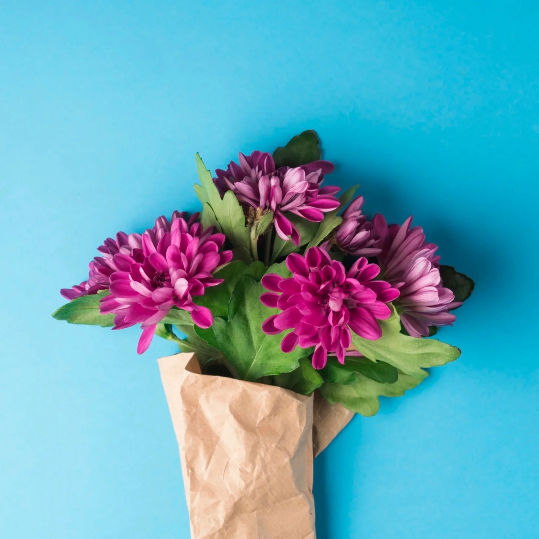 Blomsterbukett med rosa blomster mot blå bakgrunn