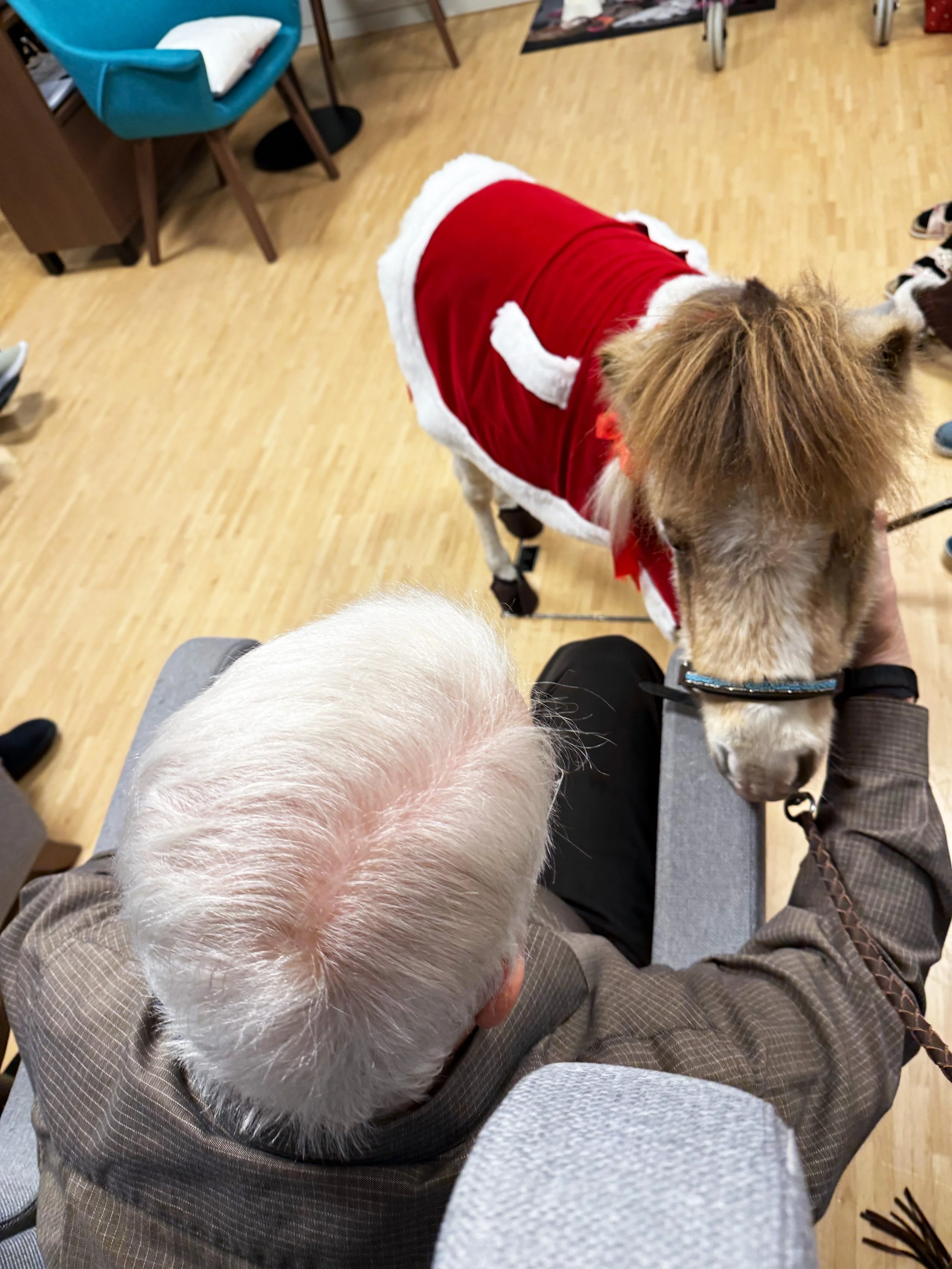 Ein älterer Mann mit weißen Haaren sitzt auf einem Stuhl, während ein Hund in einem weihnachtlichen Kostüm auf seinem Bein steht und schnüffelt. Der Hund trägt ein rotes Outfit mit weißen Fellbesatz. Der Raum hat einen Holzboden und es sind einige Mö