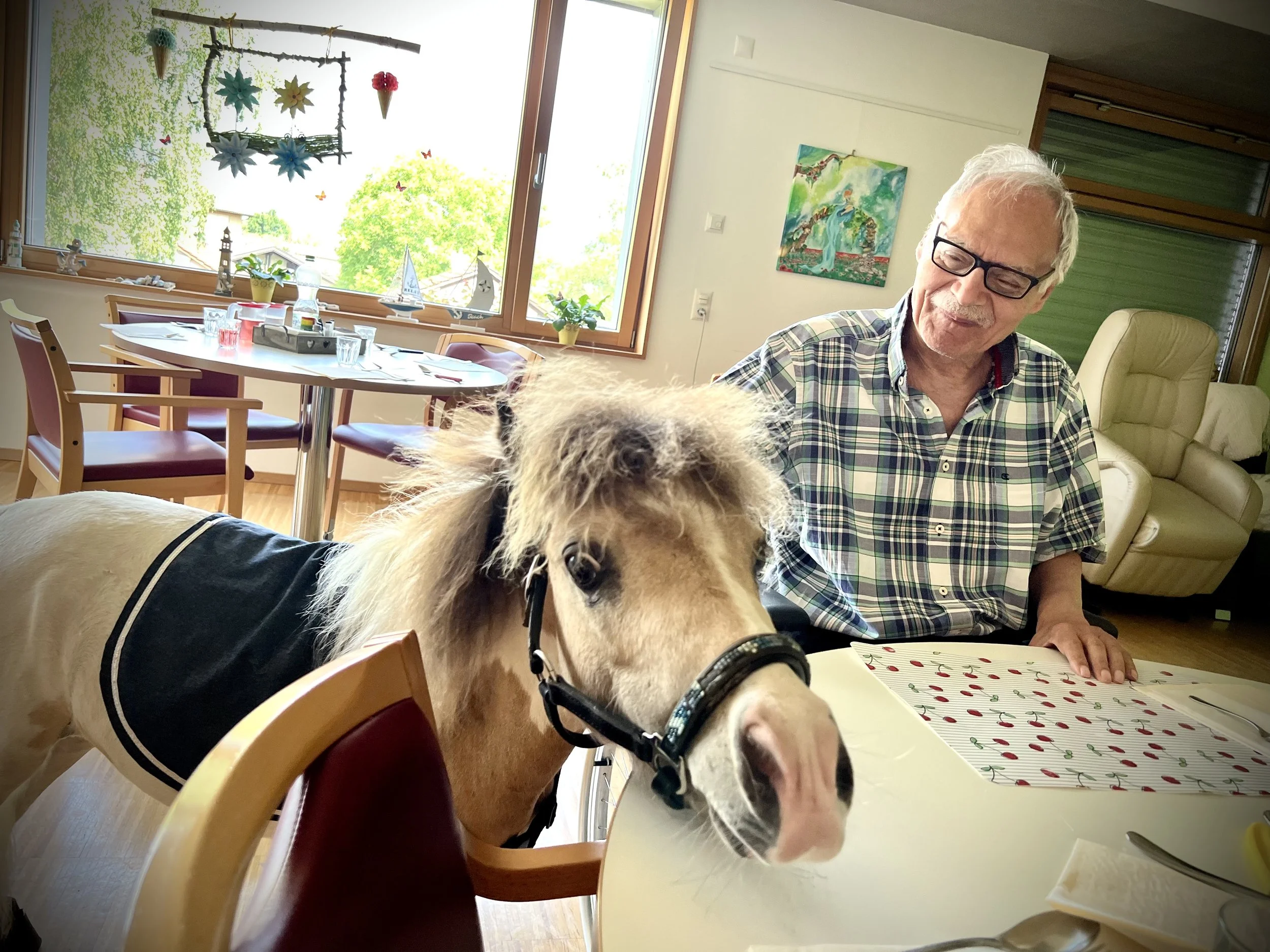 Ein älterer Mann mit Brille sitzt an einem Tisch mit einem Minipferd, im Hintergrund ein Sommergarten mit einem großen Fenster, bunten Dekorationen und einem Gemälde an der Wand.