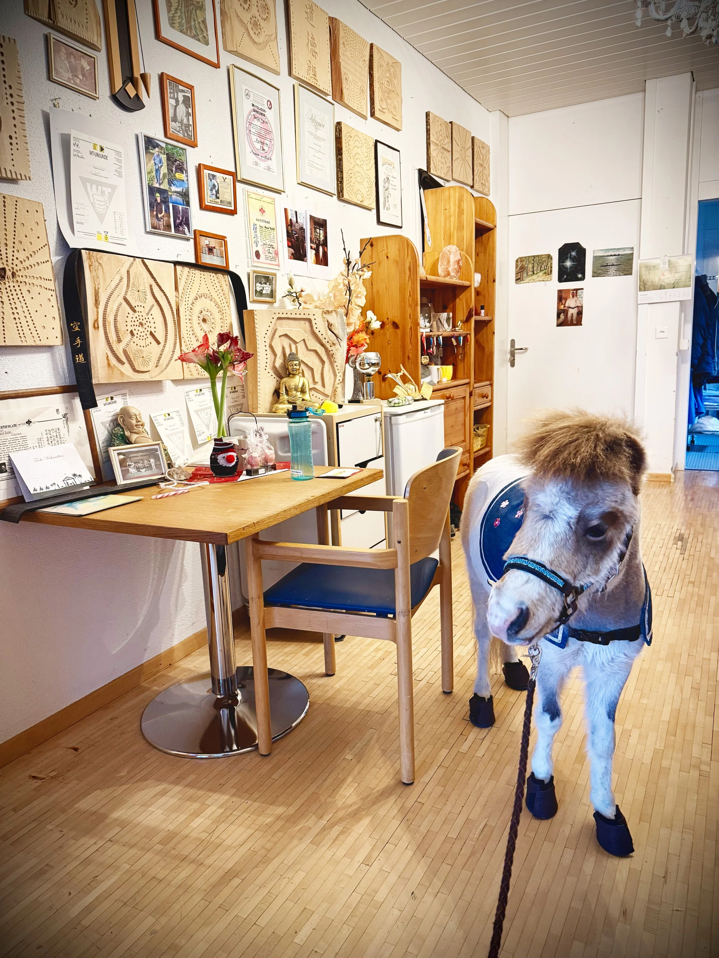 Ein Raum mit einer Teetisch und Stuhl, Wanddekoration mit Bilderrahmen und Holzkunst, ein Minipferd mit schwarzen Schuhen das auf dem Holzboden steht.