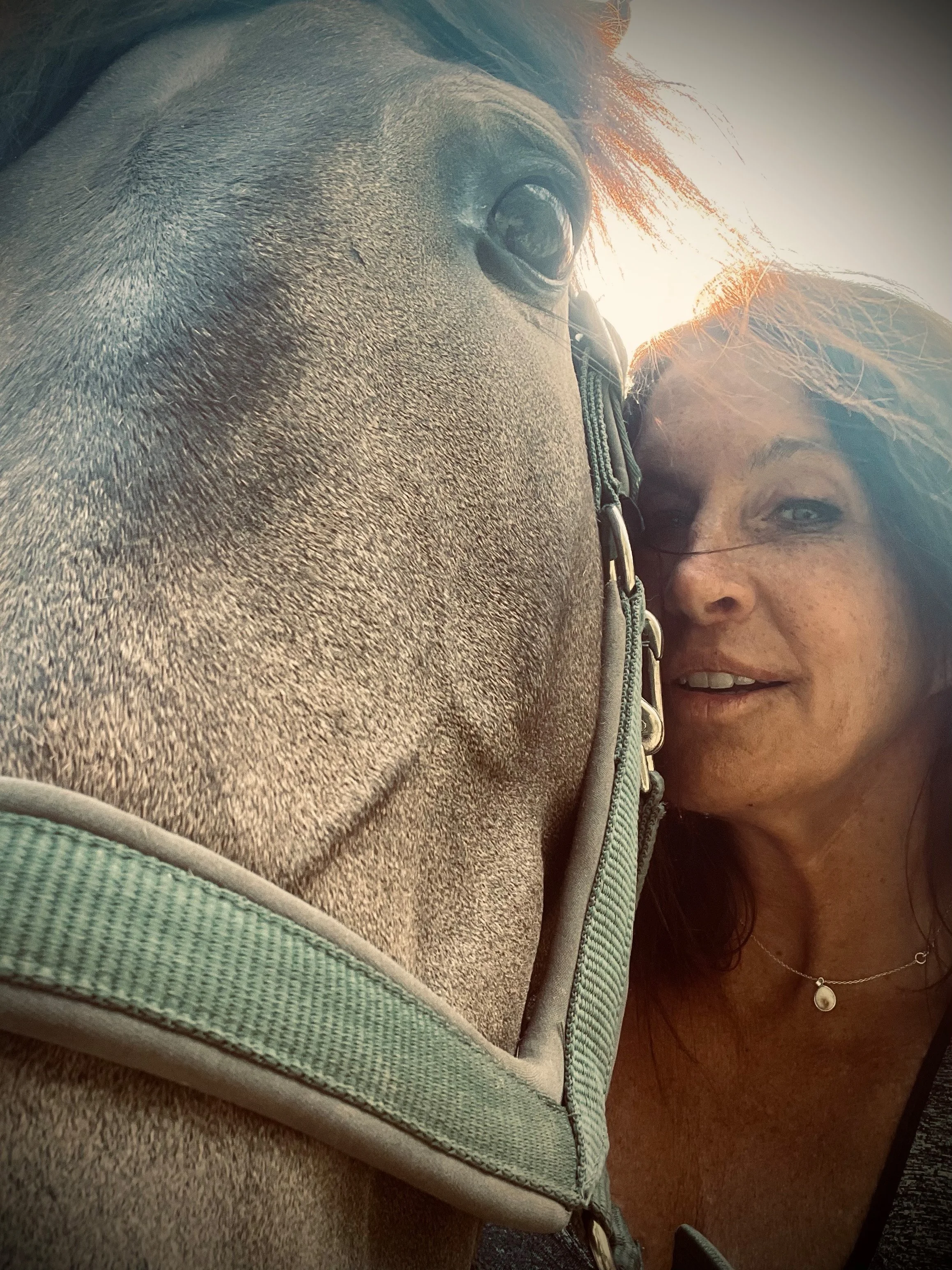 Eine Frau macht ein Selfie mit einem braunen Pferd im Sonnenlicht.