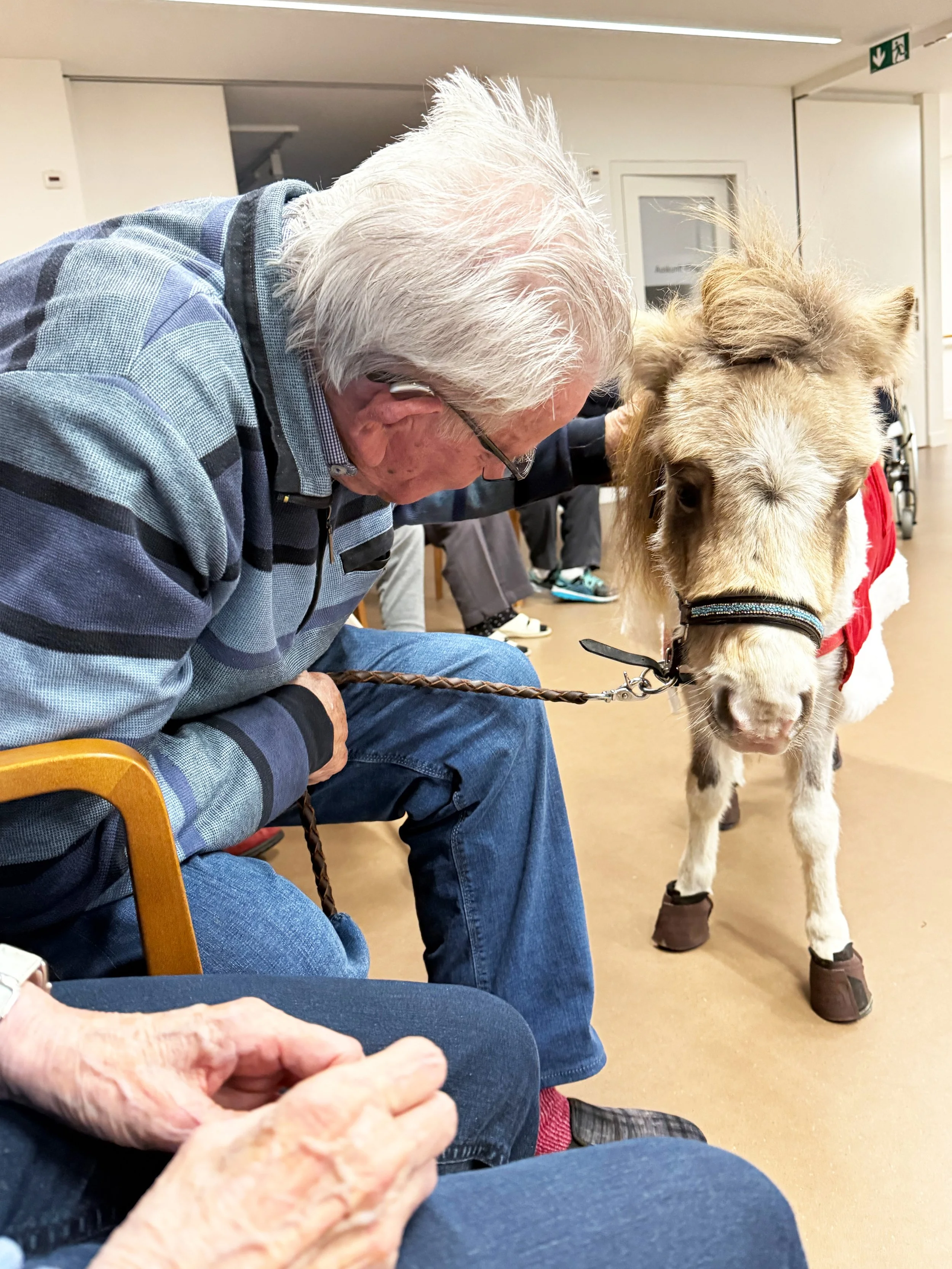 Ein älterer Mann streichelt ein Minipferd, das in einem Wartezimmer steht. Das Pferd trägt Hufschuhe und eine rote Decke. Im Vordergrund sind die Hände einer anderen Person zu sehen, im Hintergrund sind weitere Wartende.