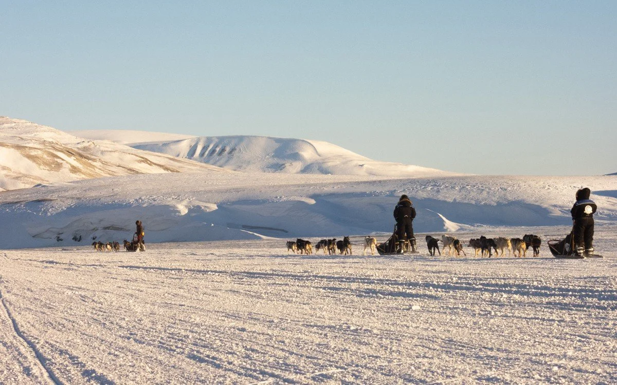 Mange muligheter for reiselivet på Svalbard