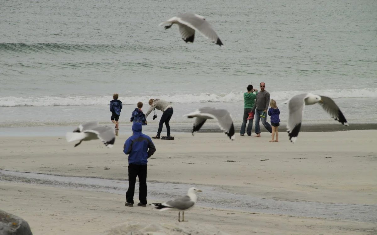 Et hav av følelser: Ny forskning undersøker vår forbindelse til havet
