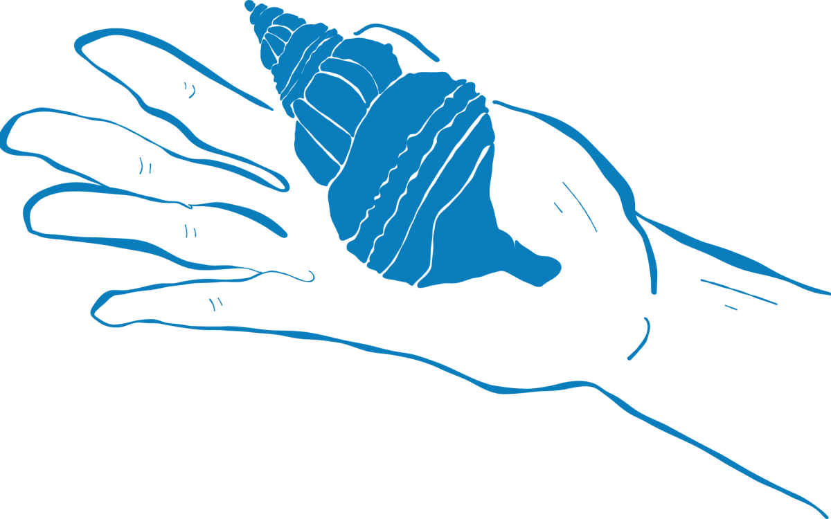 Gir ut aktivitetsboken «Kvinner som skaper bølger»