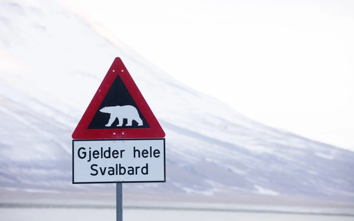 Svalbards reiselivsforvaltning