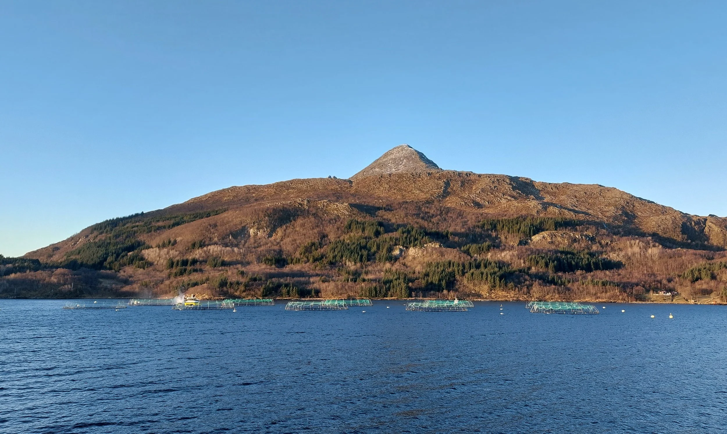 merder i en fjord ved et fjell