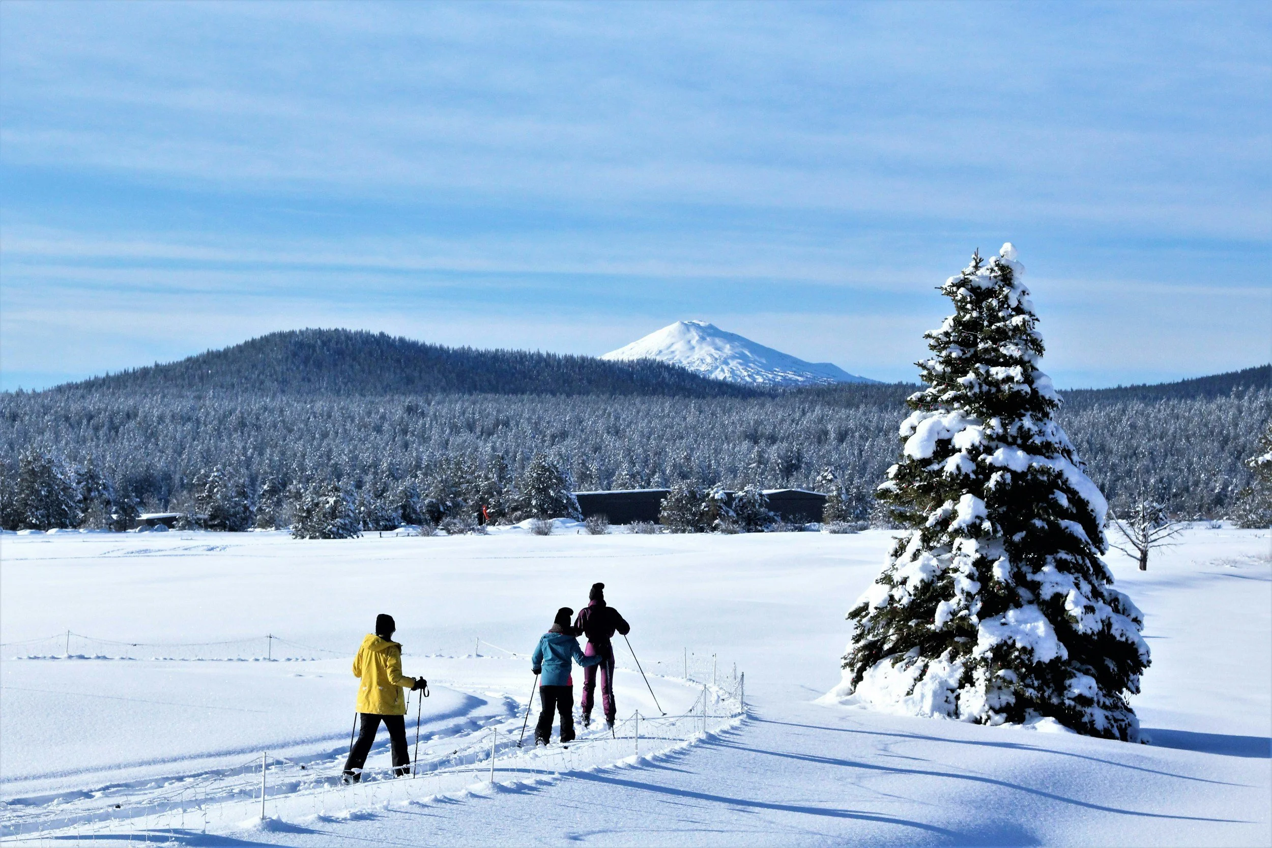 Three cross-country skiers ski through a snowy landscape with hills