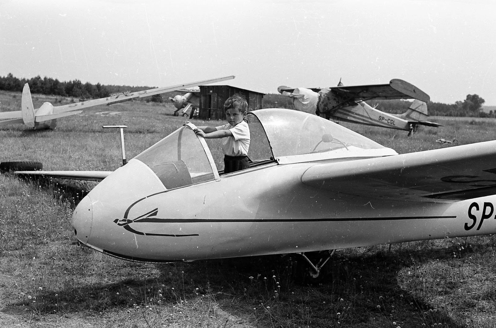 Adler im Aufwind: Warum polnische Segelflugzeuge Weltklasse sind (und kein „Billig-Import“)