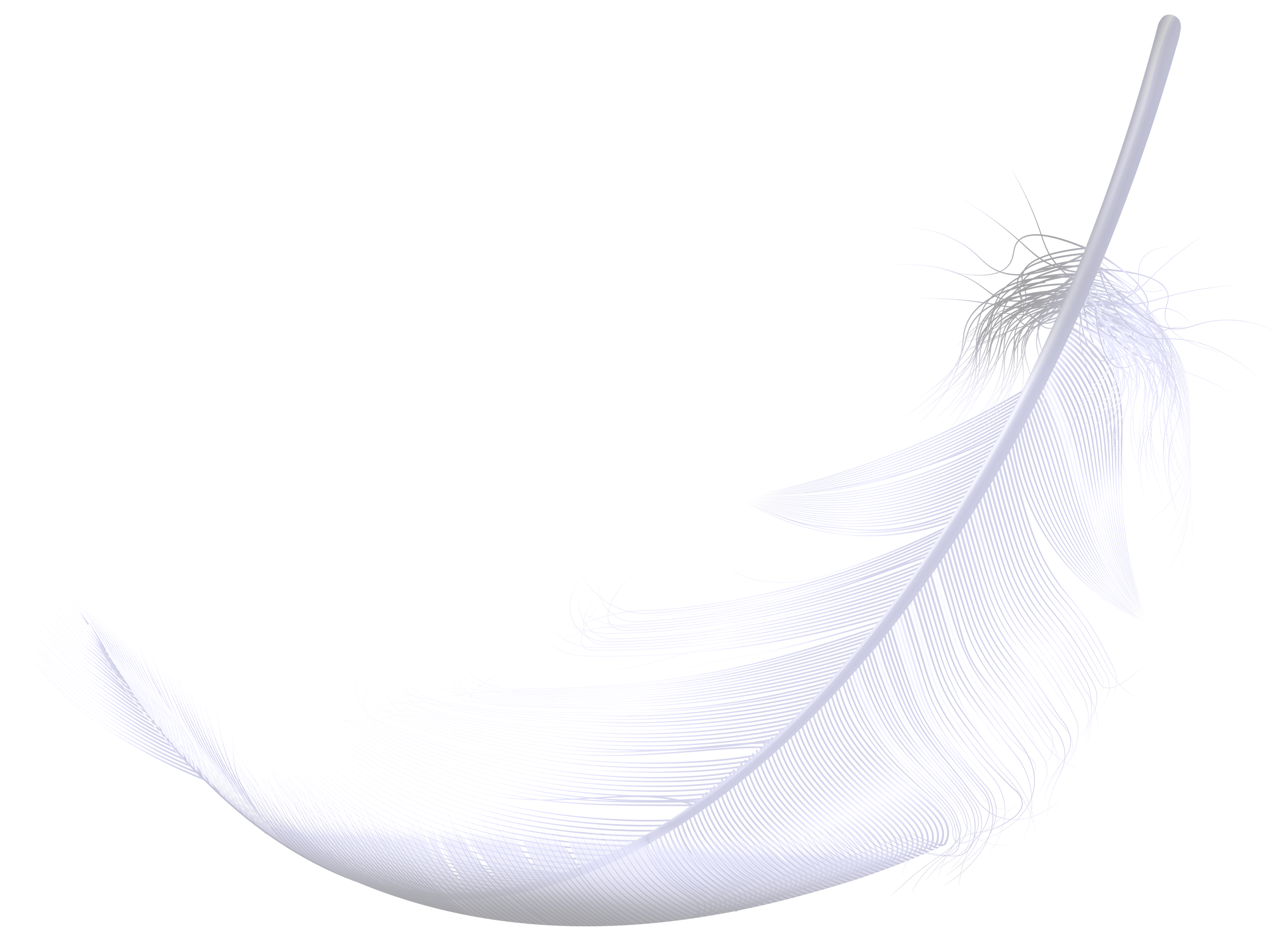 Feather with flowing white and blue lines on a black background.