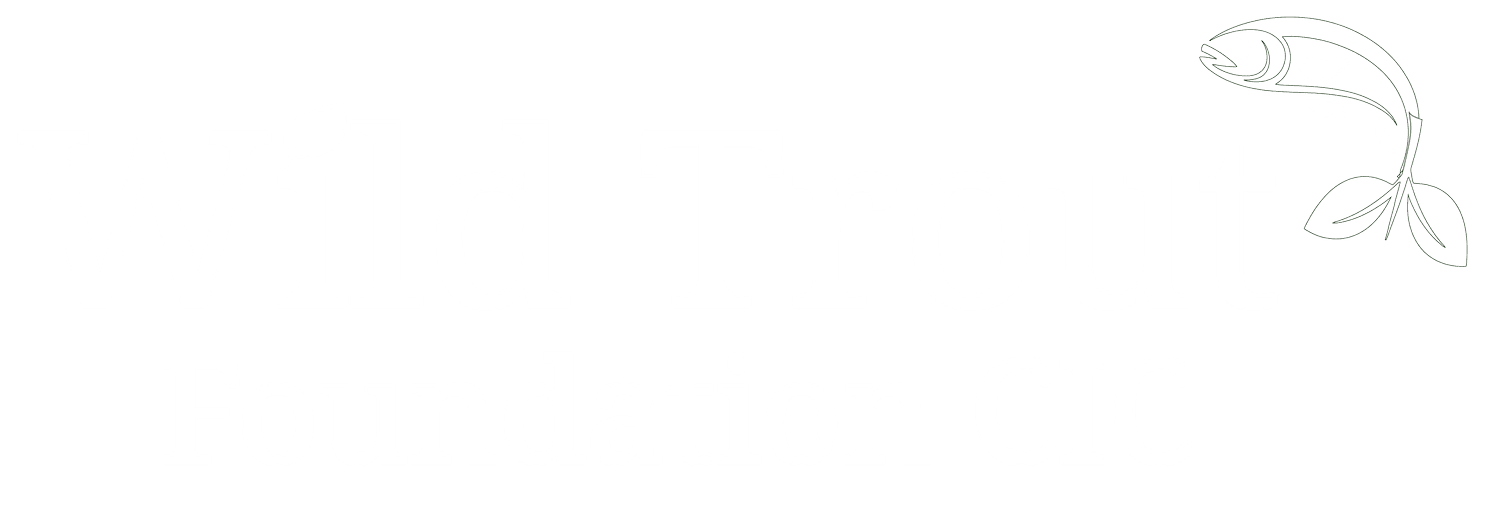 Your Site Title
