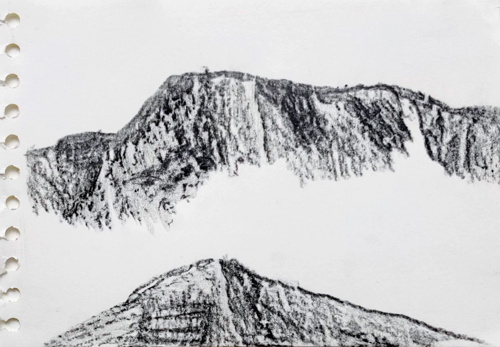 IMG_20230203_155159 (1).jpg