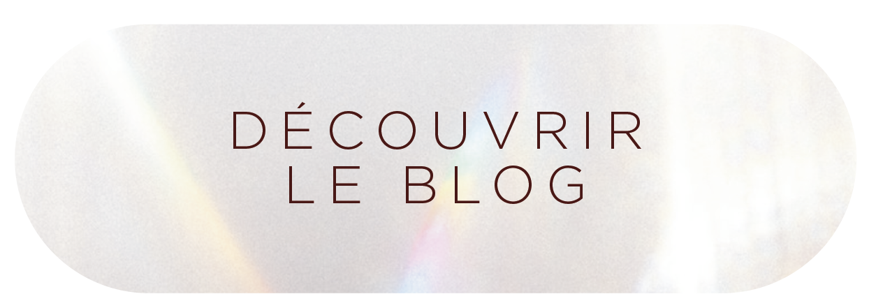 Bouton avec texte « DÉCOUVRIR BLOG » écrit en majuscules, en français sur un fond de couleur nacré de forme rectangulaire et aux angles arrondis