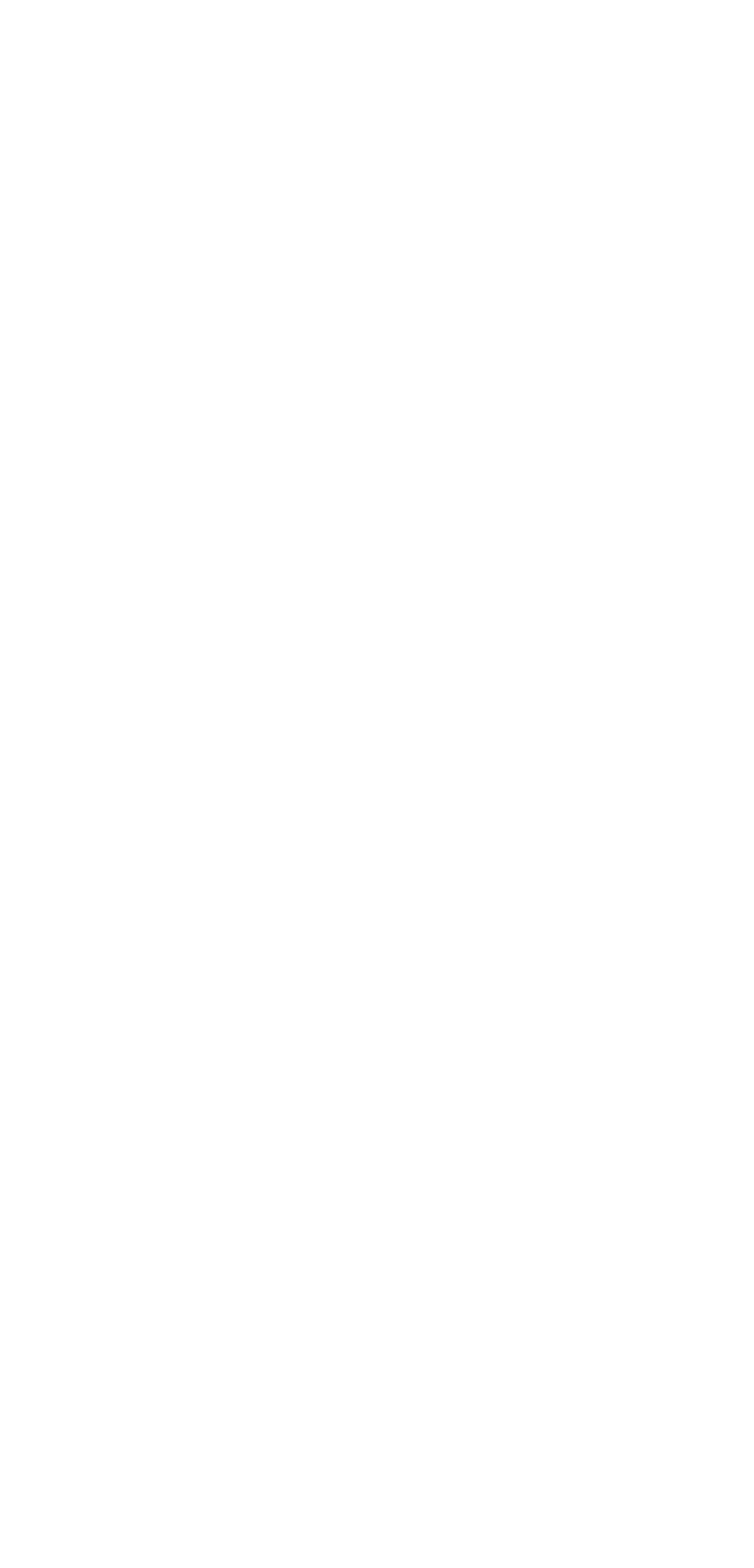 L'image est floue, difficile à décrire précisément.