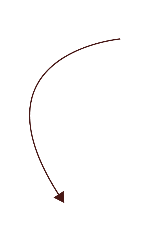Une flèche en légère courbe pointe vers le bas