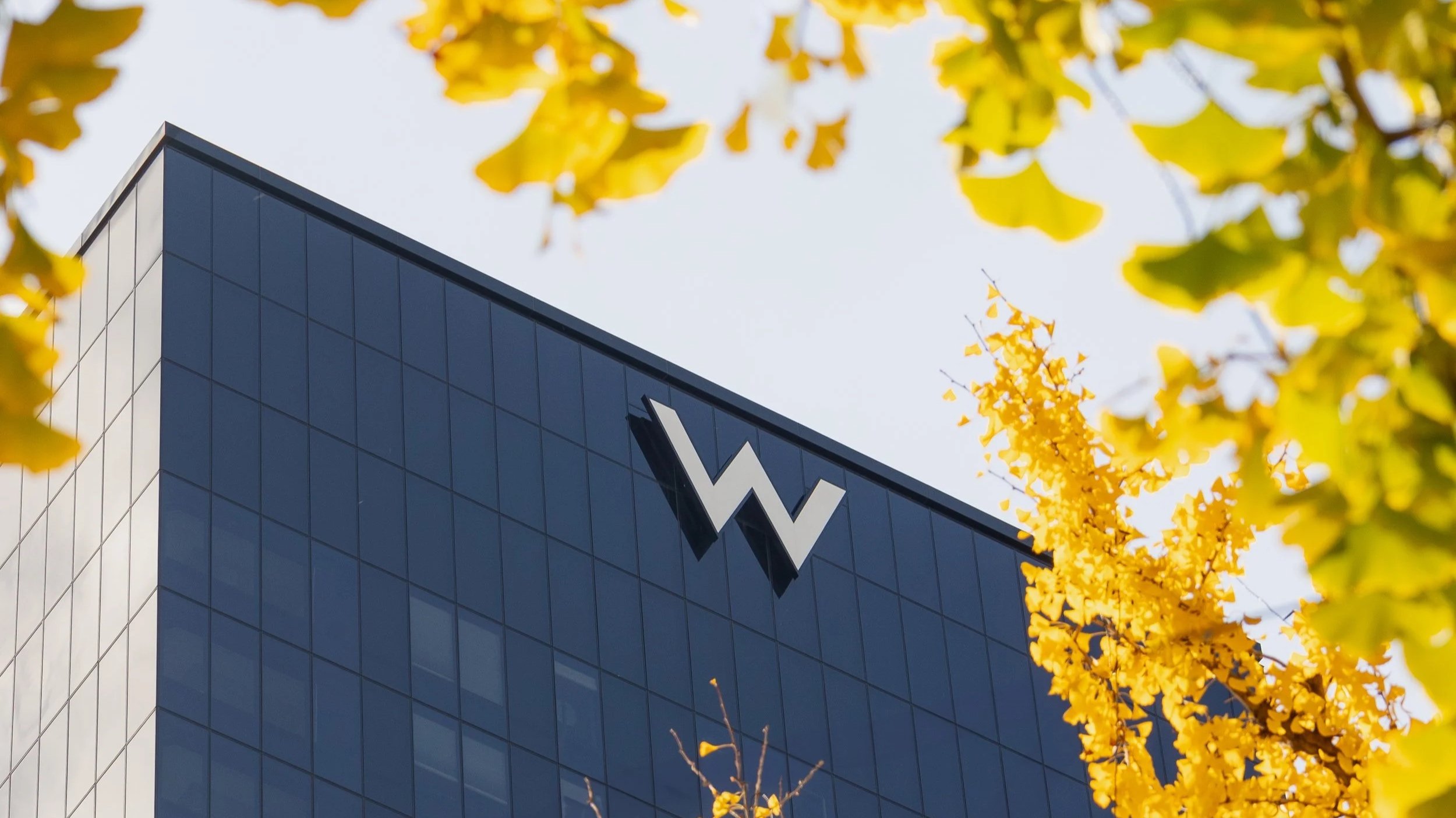 Bâtiment moderne avec une toiture en verre noir et un logo en forme de W en blanc, entouré d'arbres aux feuilles jaunes d'automne.