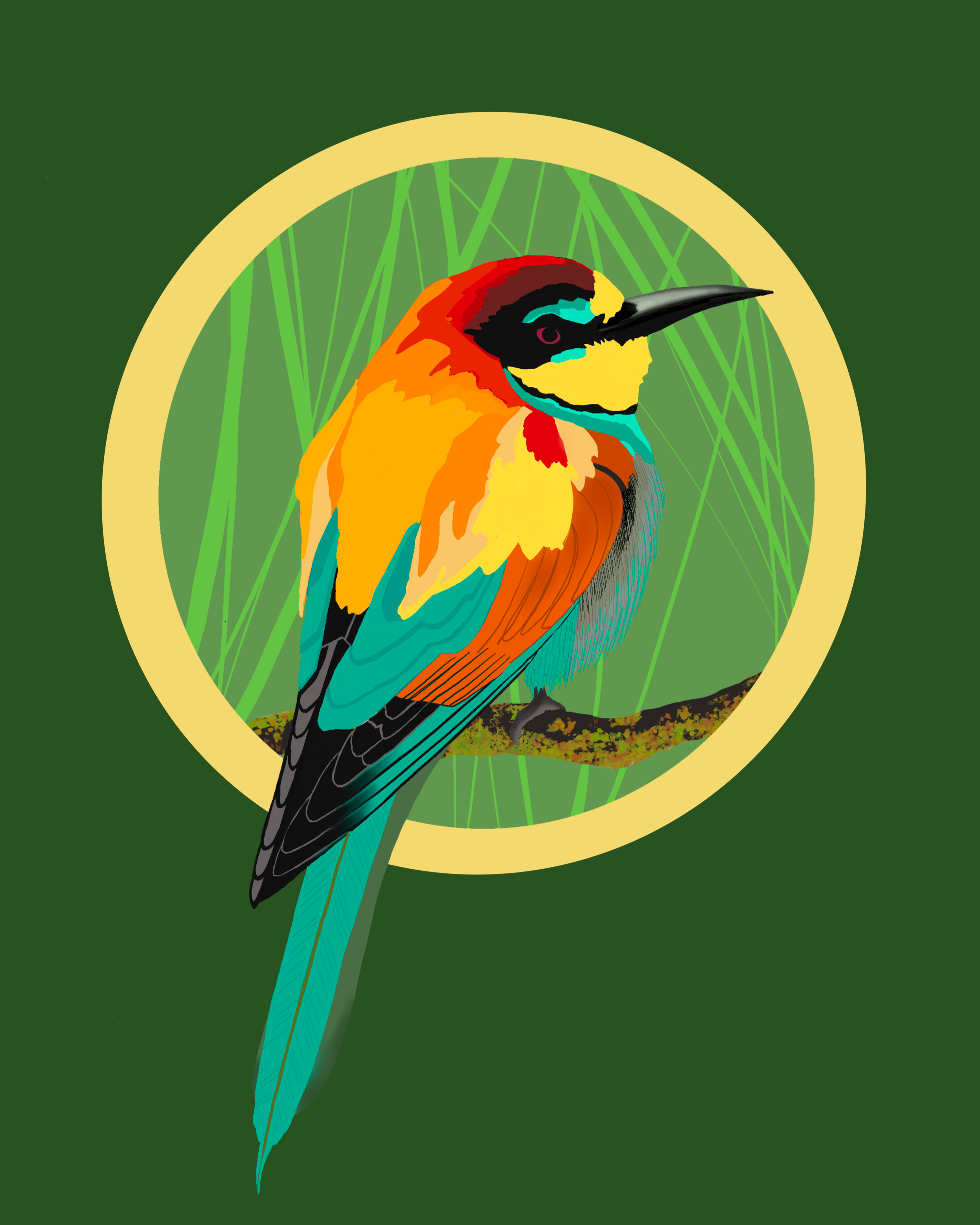Bee eater