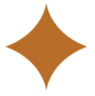 En brun, stjerneformet figur mod en sort baggrund