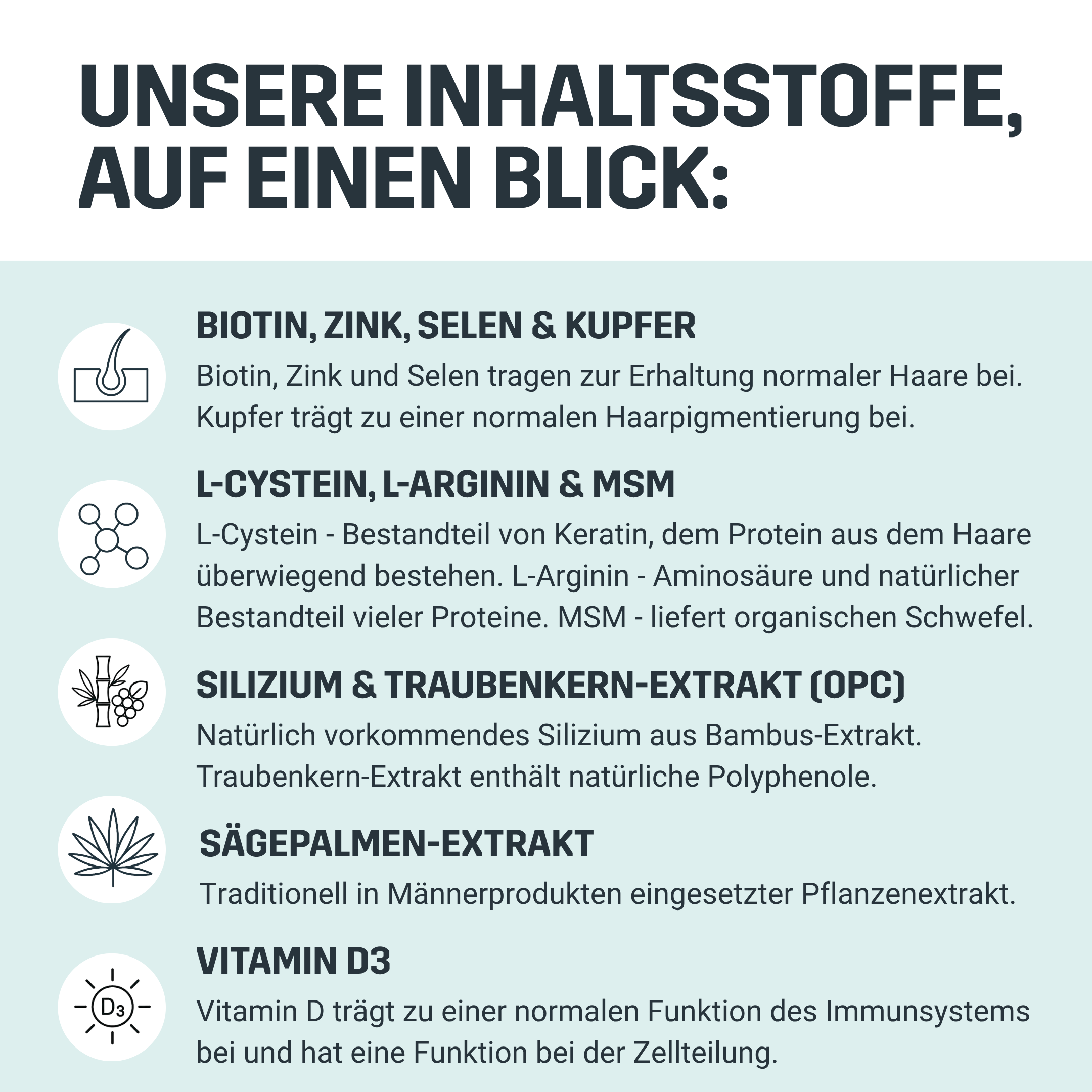 Ein Infoblatt über Inhaltsstoffe des Nahrungsergänzungsmitteln, auf Deutsch, mit Texten zu Biotin, Zink, Selen & Kupfer, L-Cystein, L-Arginin, MSM, Silizium, Traubenkern-Extrakt und Vitamin D3, inklusive Symbolen für jeden Inhaltsstoff.