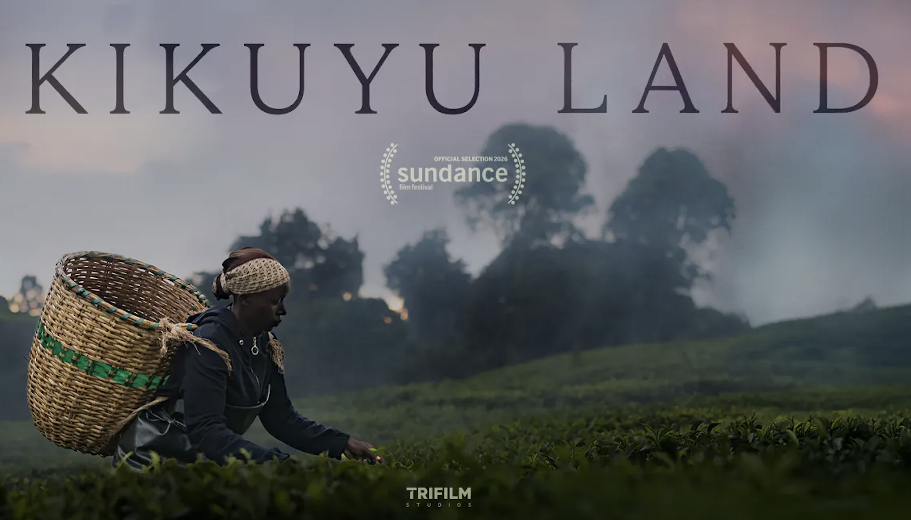 Kikuyu Land (2026)