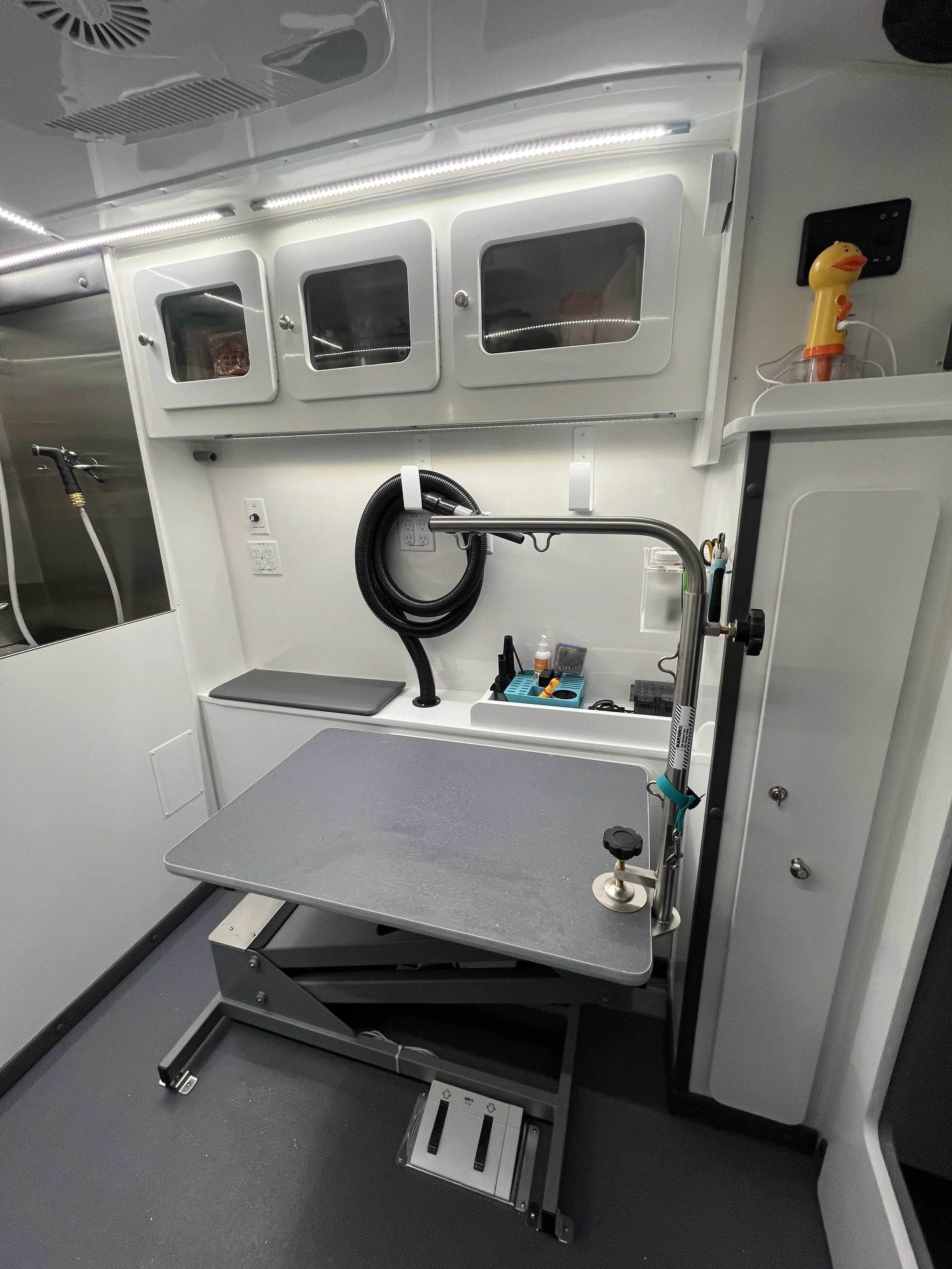 Interior of a veterinary clinic or animal hospital with a metal examination table, medical equipment, and supplies, including a rubber duck toy on a shelf.