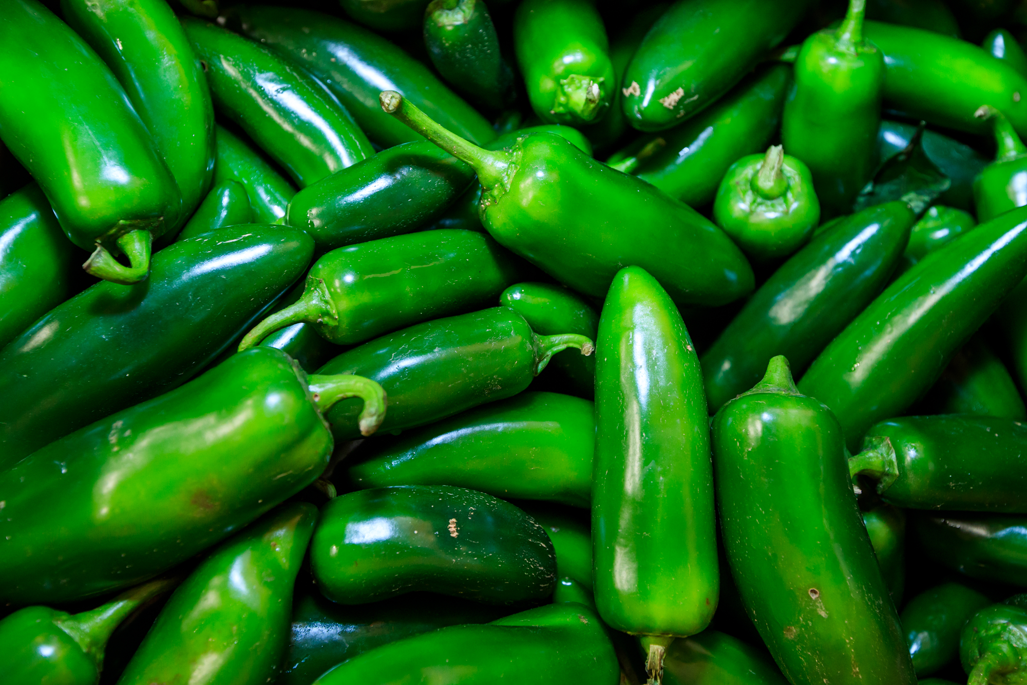 Close up green peppers