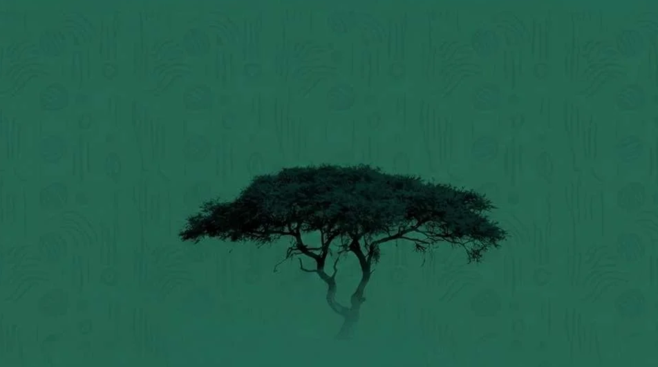 2026 Macondo &amp; Literature Live! Turkana Applications Open