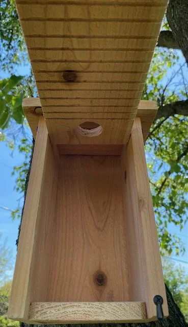 Why I Cut Kerfs Inside My Birdhouses