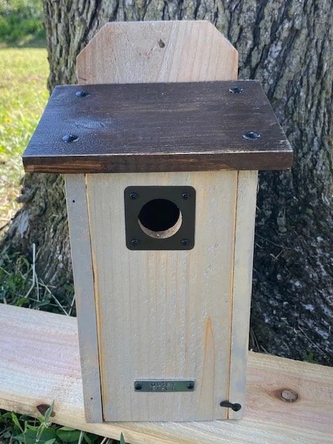 Should You Seal a Cedar Birdhouse? (When I Do and When I Don’t)