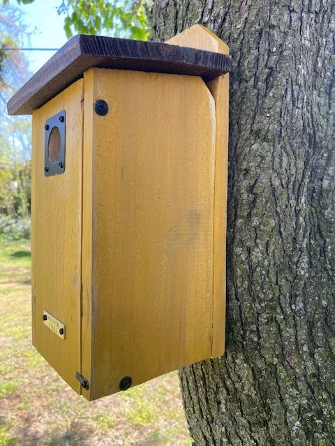 Do Birdhouses Need Ventilation?