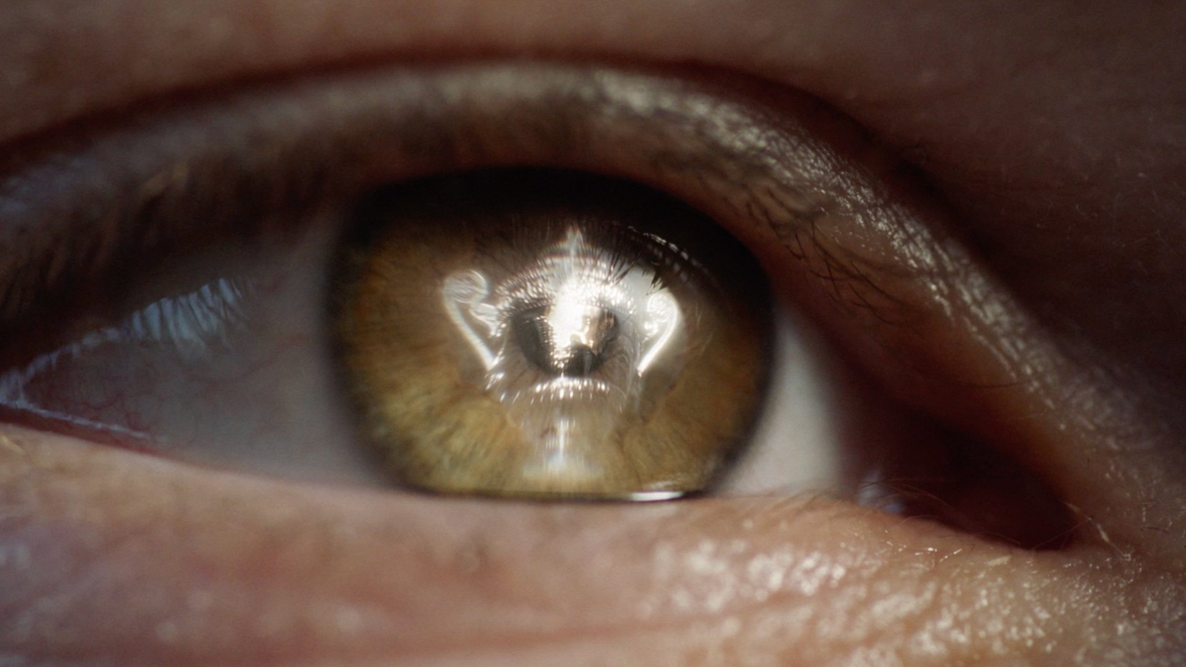 Folkert Verdoorn | Wimbledon | Magna | VCCP