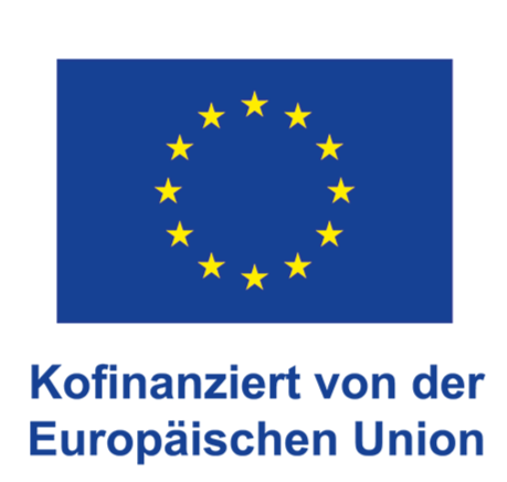 Abbildung der EU-Flagge mit Förderhinweis