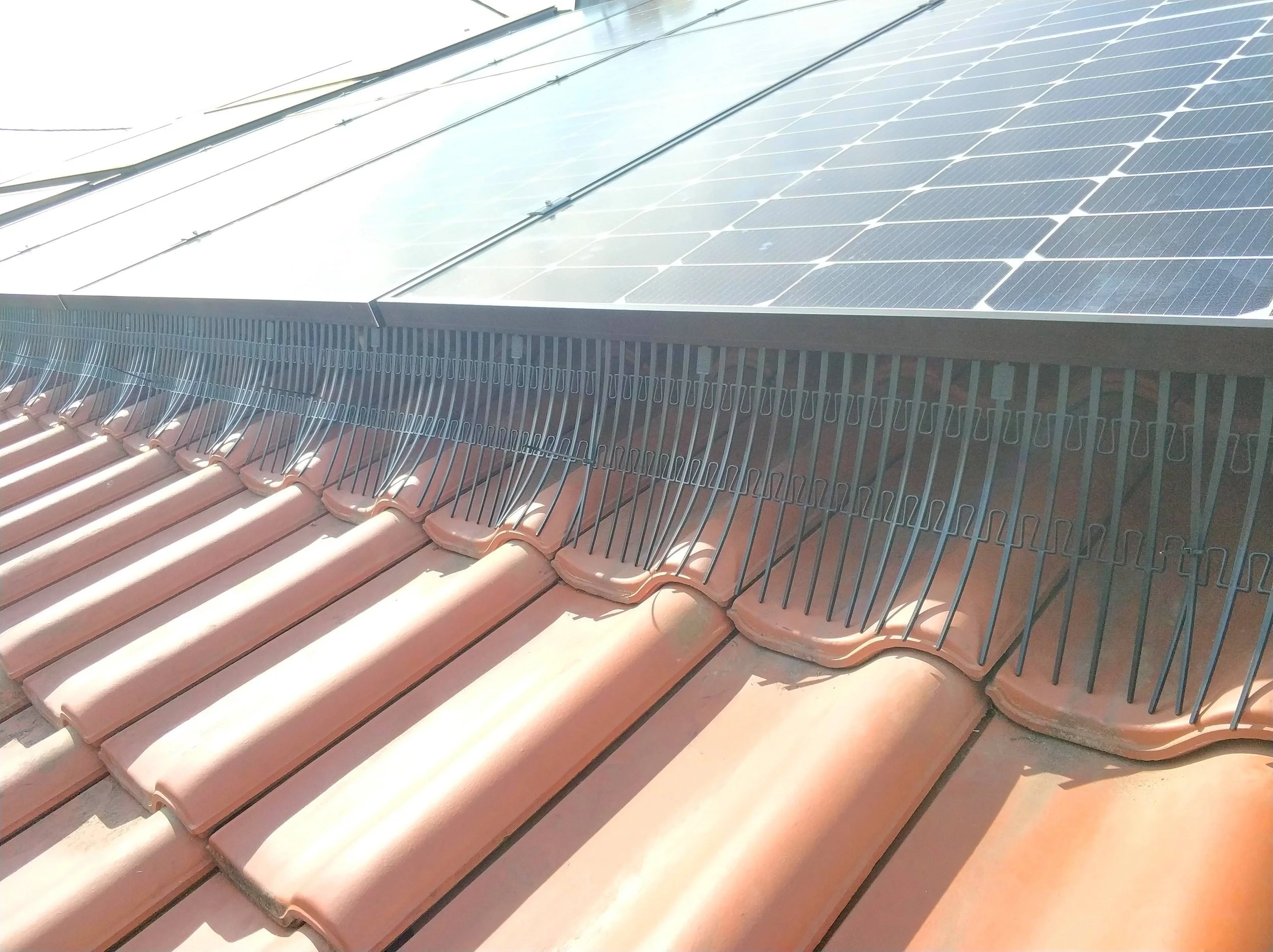 Dak met zonnepanelen en een regenafvoersysteem met clips. Vogelwering installatie voor zonnepanelen te beschermen.