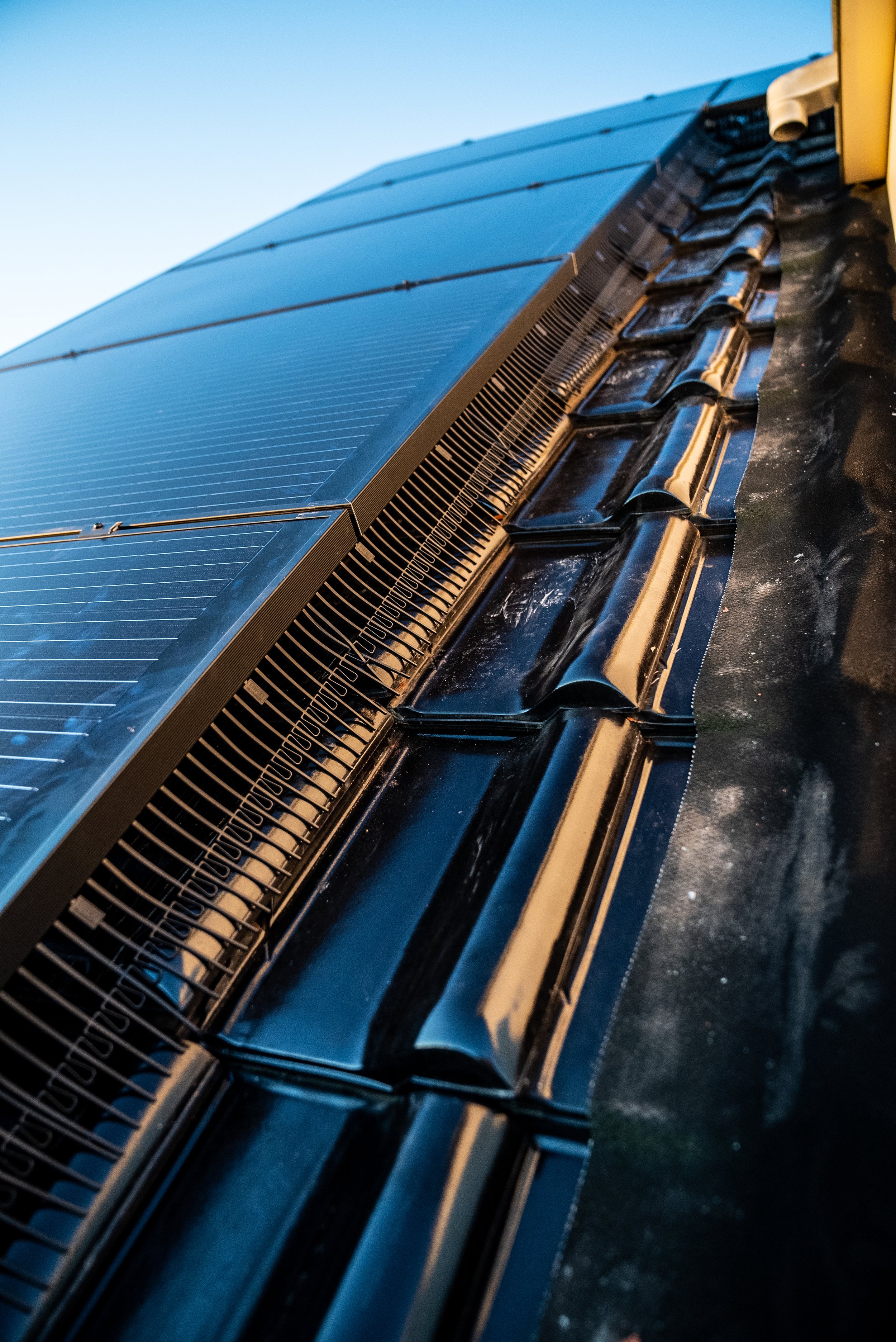 Zonnepanelen geïnstalleerd op een hellend dak onder een heldere blauwe lucht. Vogelwering installatie voor zonnepanelen te beschermen.