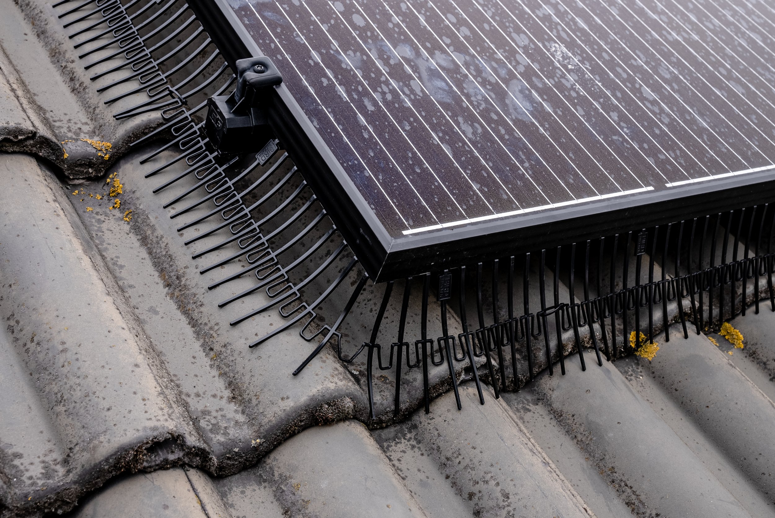 Zonnepaneel op een dak met dakpannen, bevestigd met een beveiligingsbeugel. Vogelwering installatie voor zonnepanelen te beschermen.