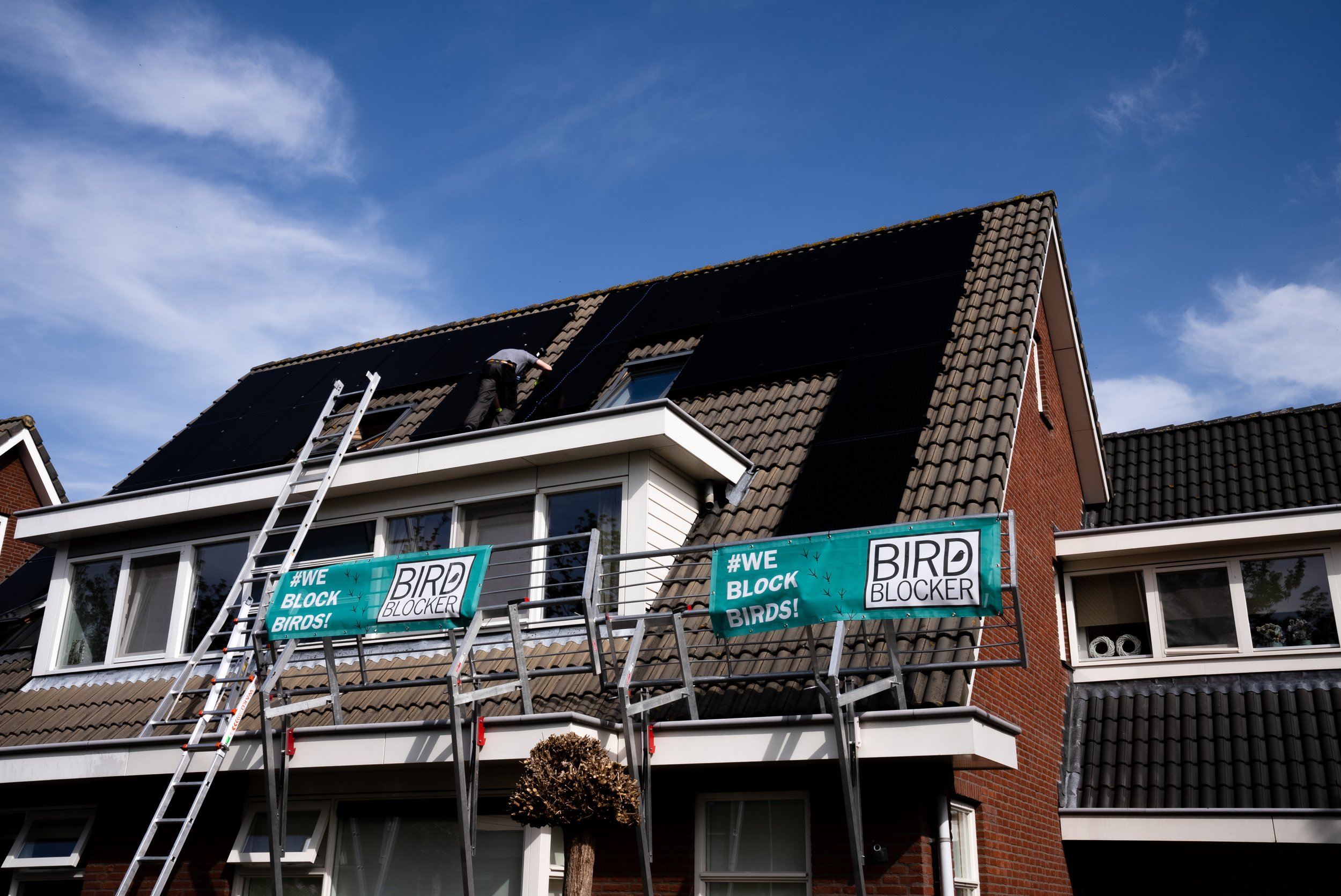 Birdblocker-15.jpg