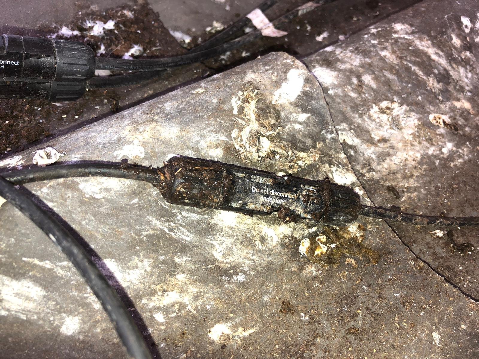 BirdBlocker birdfeces 1.jpeg