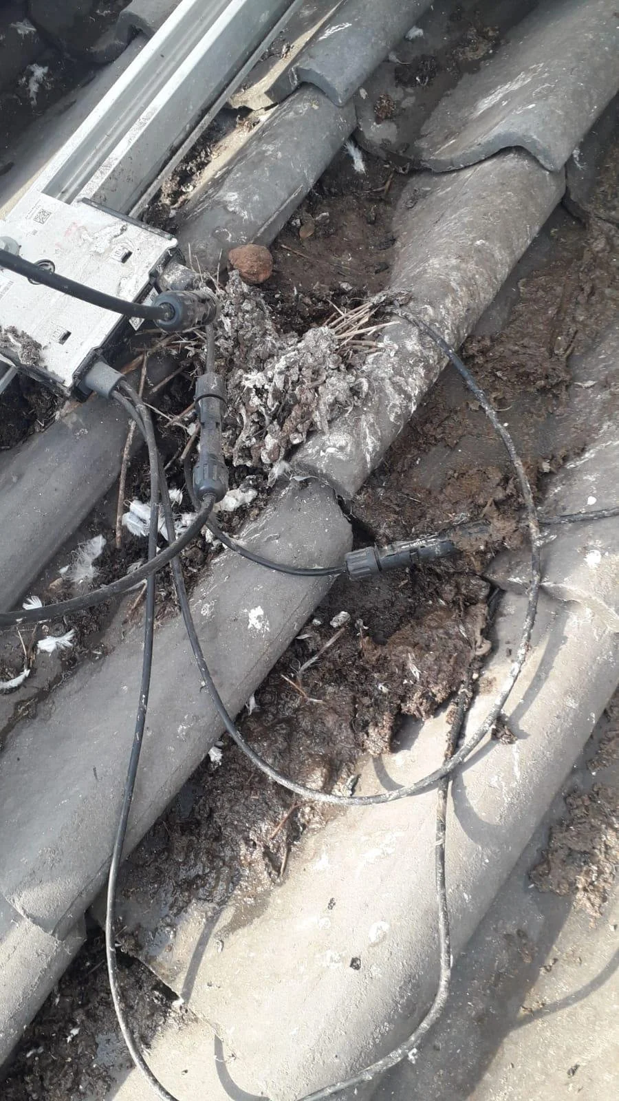 BirdBlocker birdfeces 3.jpeg