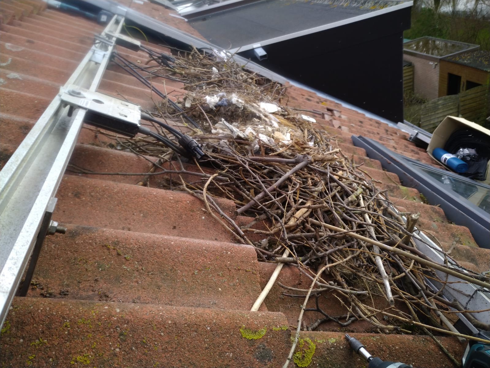 BirdBlocker nest 6.jpeg