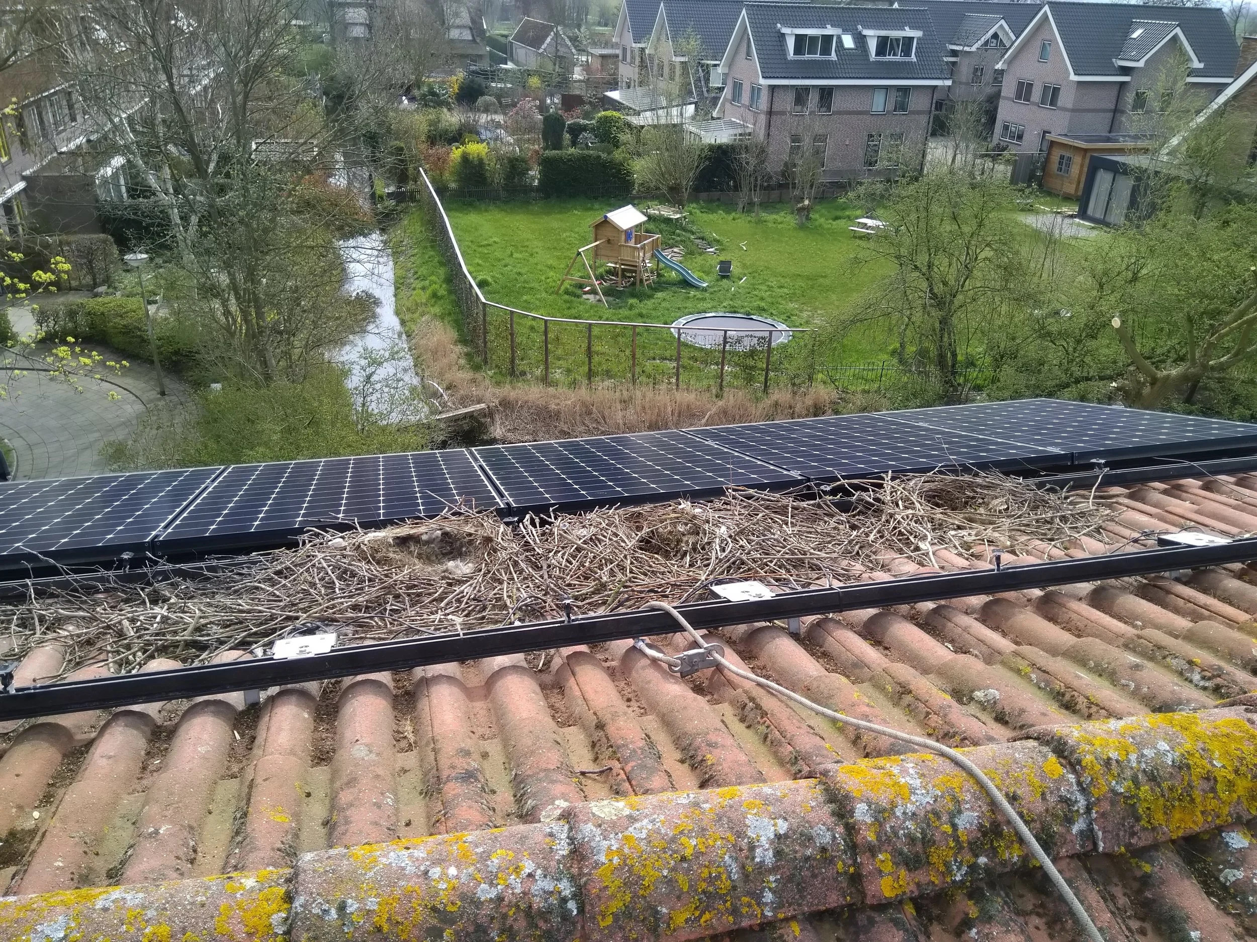 BirdBlocker nest 7.jpg