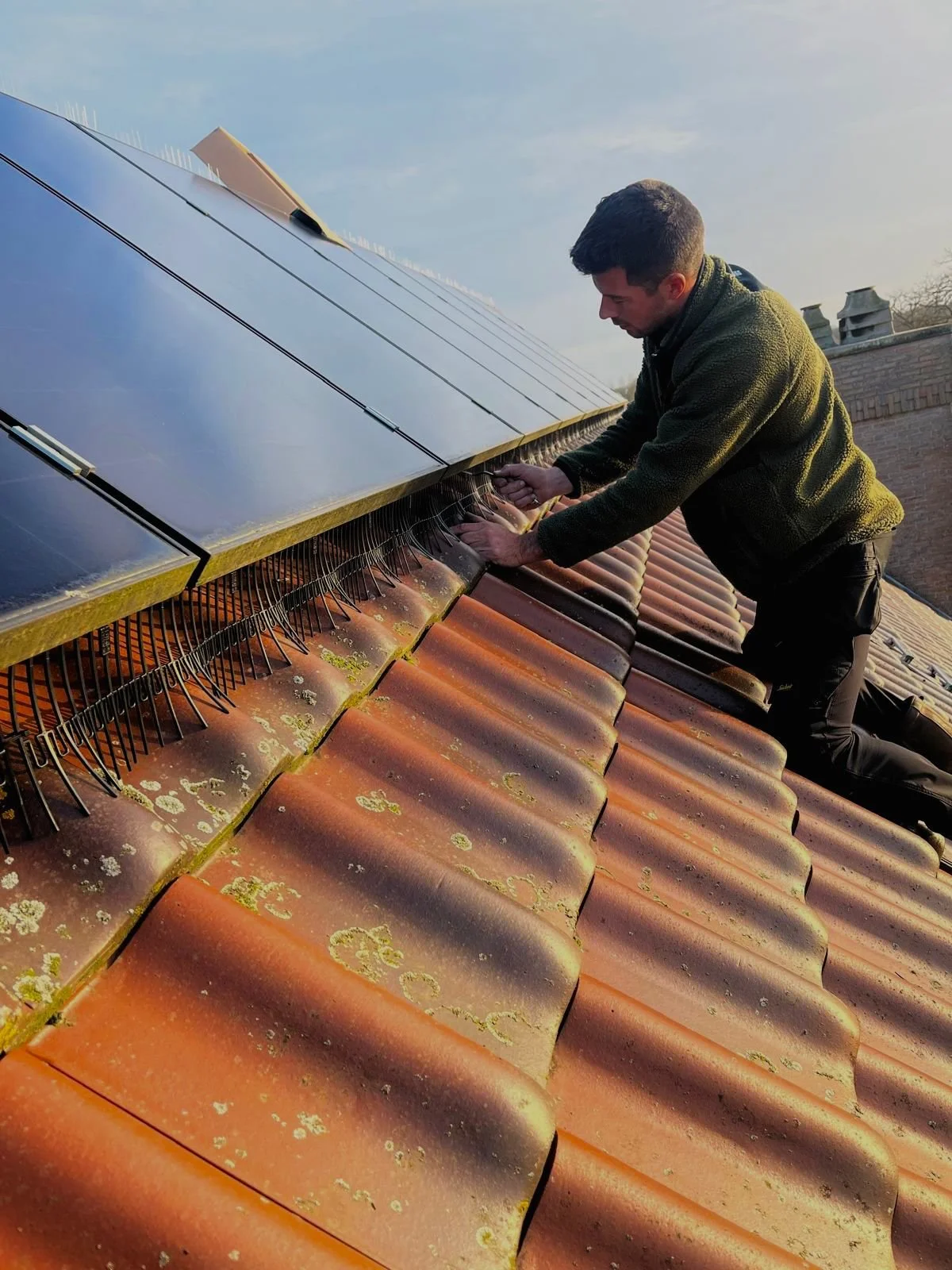 Man die zonnepanelen op een dak met dakpannen verzorgt of repareert., solfence, zonnepaneel wering, zonnepaneel vogelwering, vogelwering