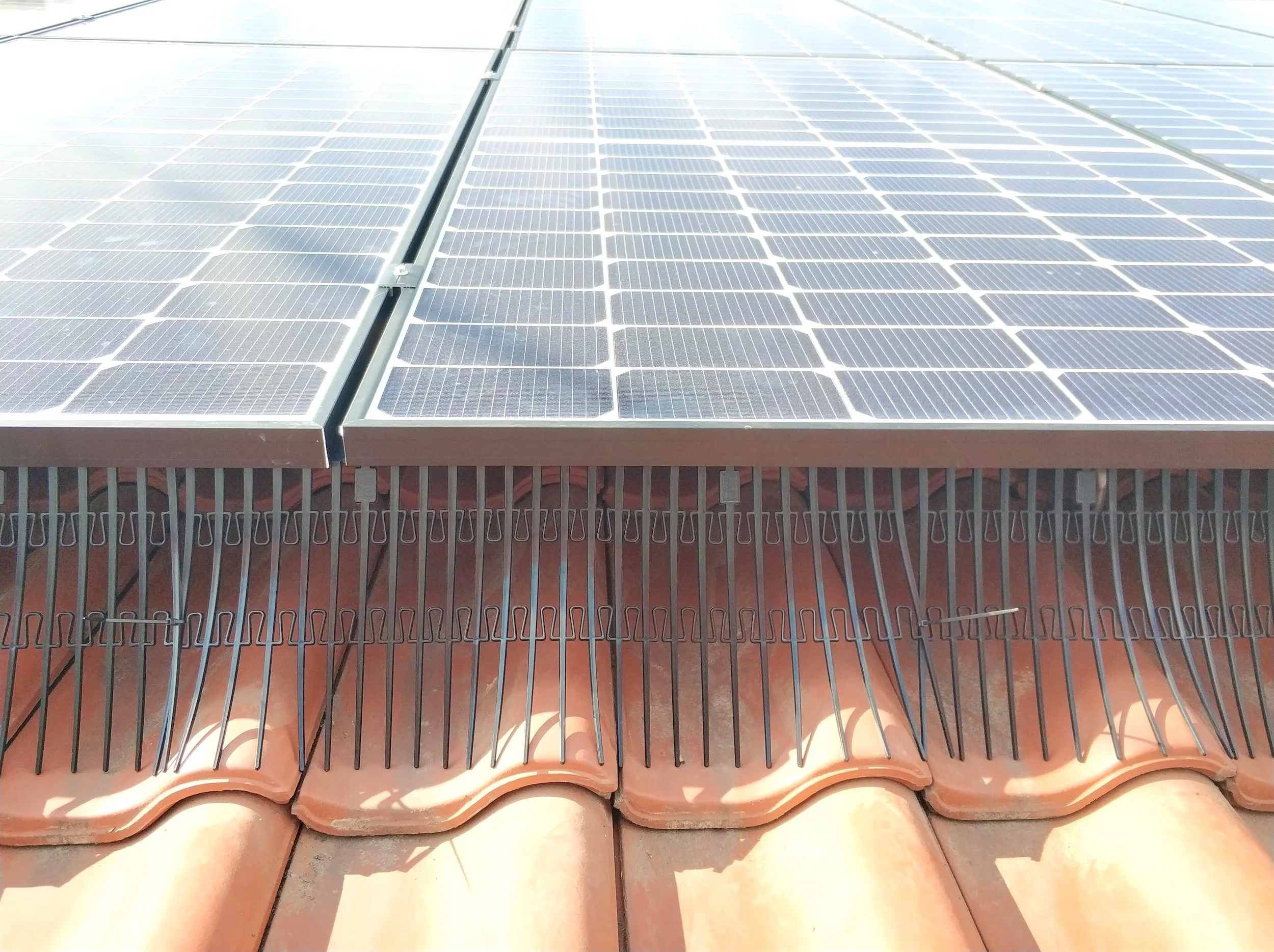 Vogelwering installatie voor zonnepanelen te beschermen.