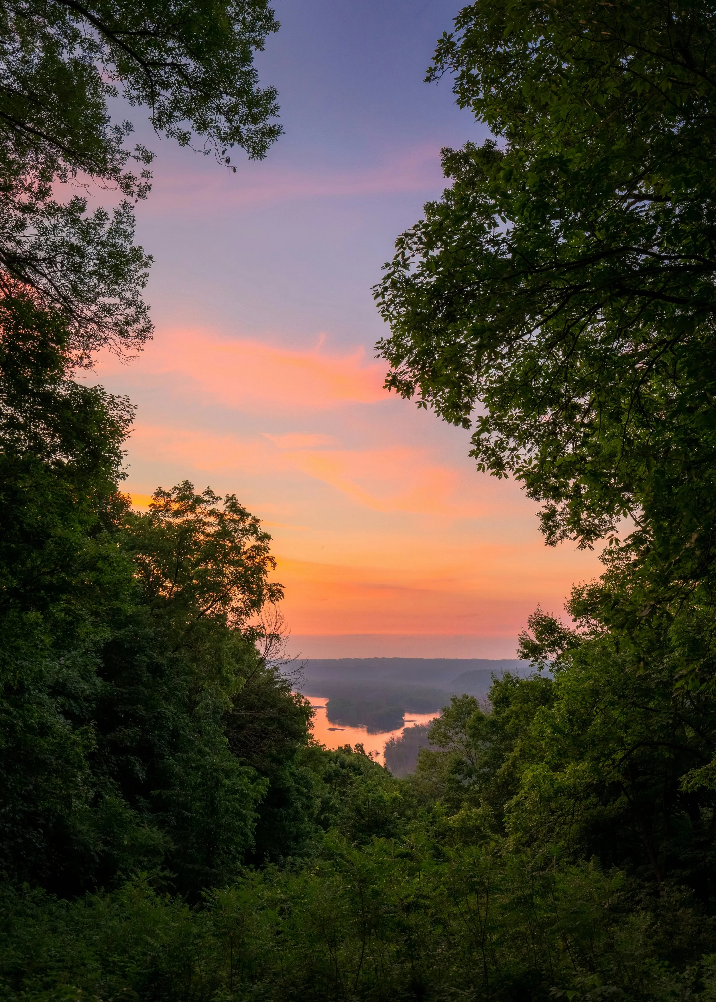 Sunset over a winding river, framed by lush green trees on both sides.