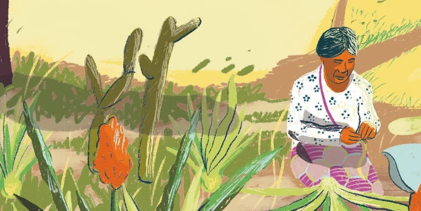 Women Defenders: Community Perspectives for a More Liveable World